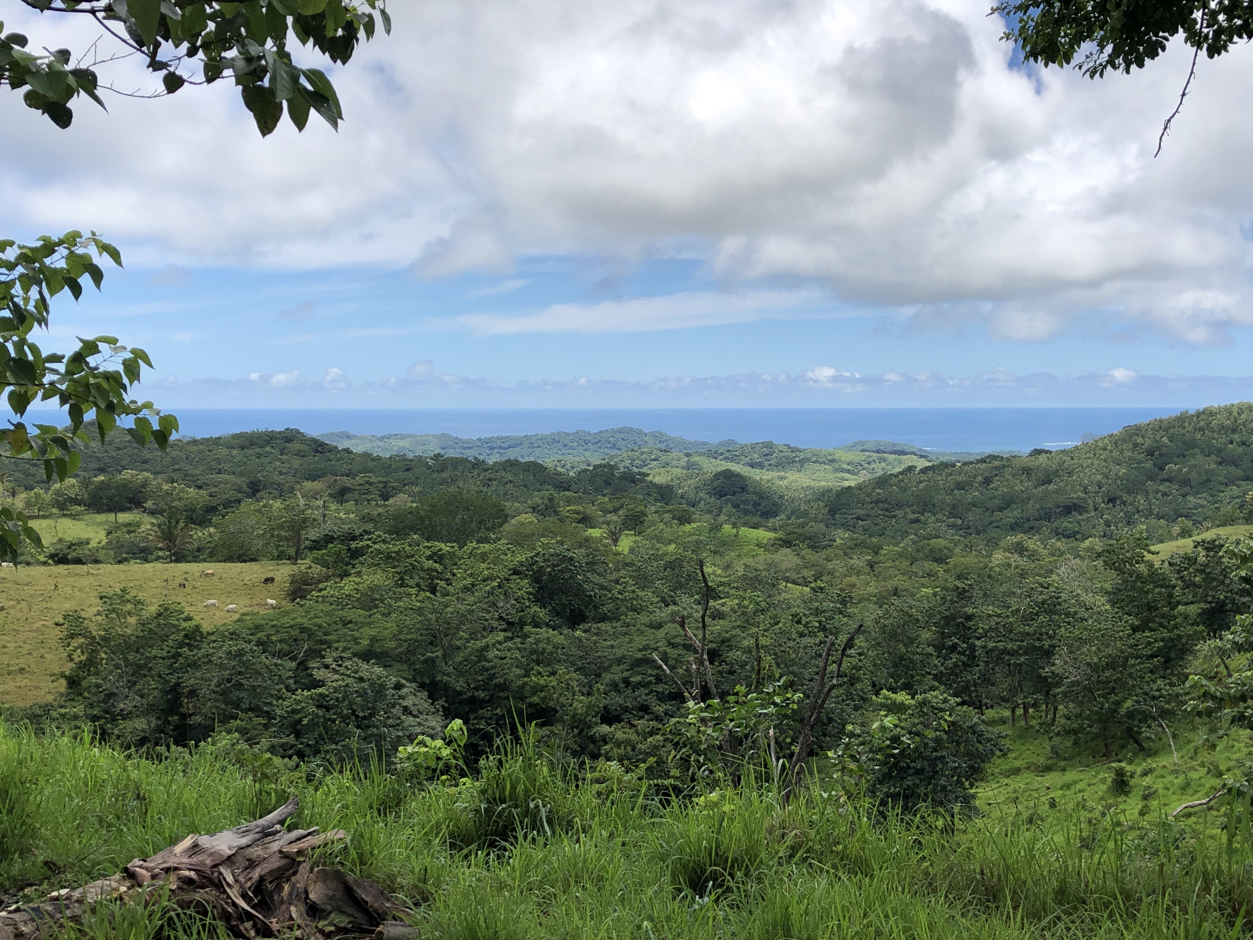 0 bed Land For Sale in Samara, Guanacaste - thumb 9