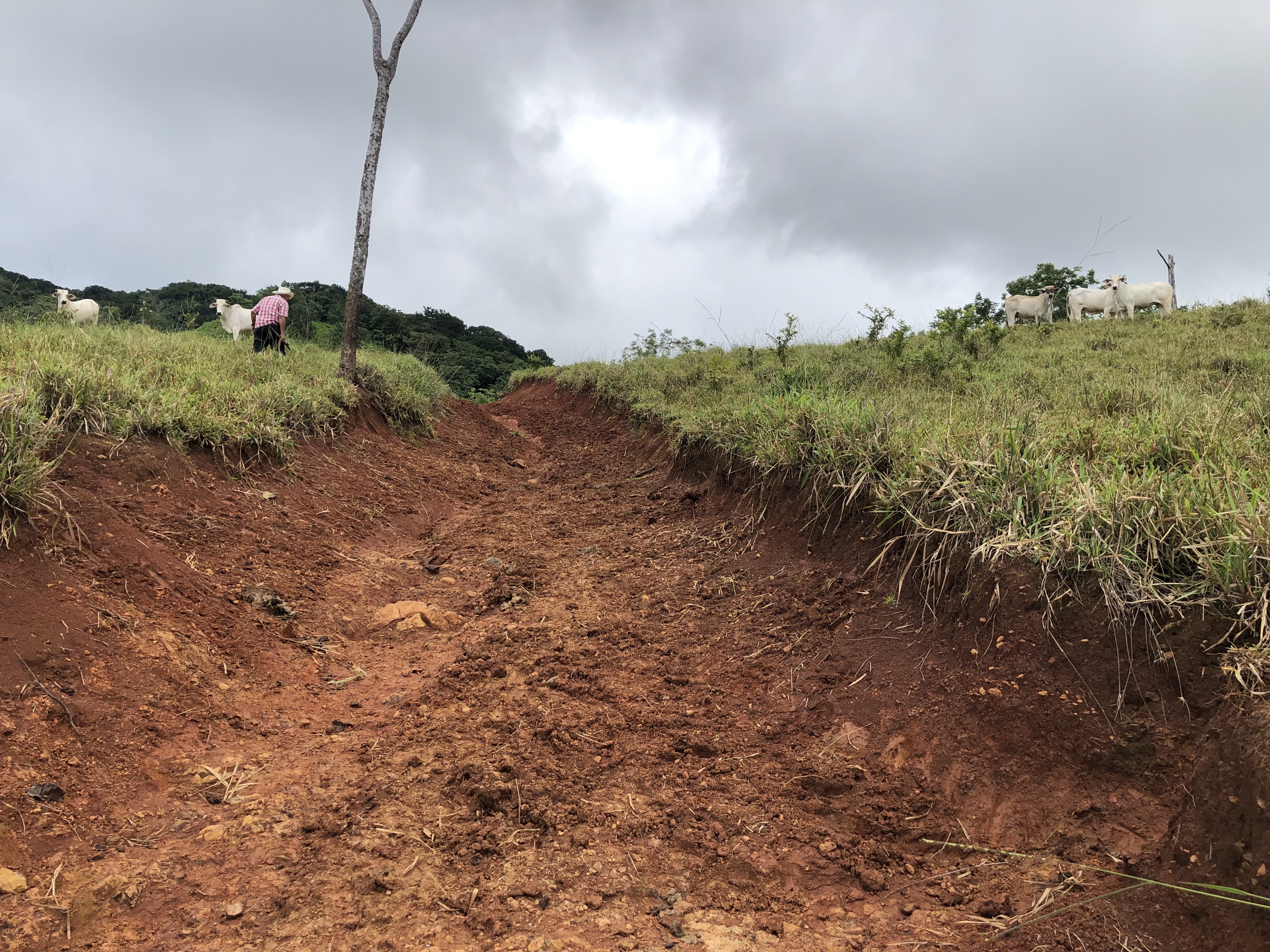 0 bed Land For Sale in Samara, Guanacaste - thumb 2