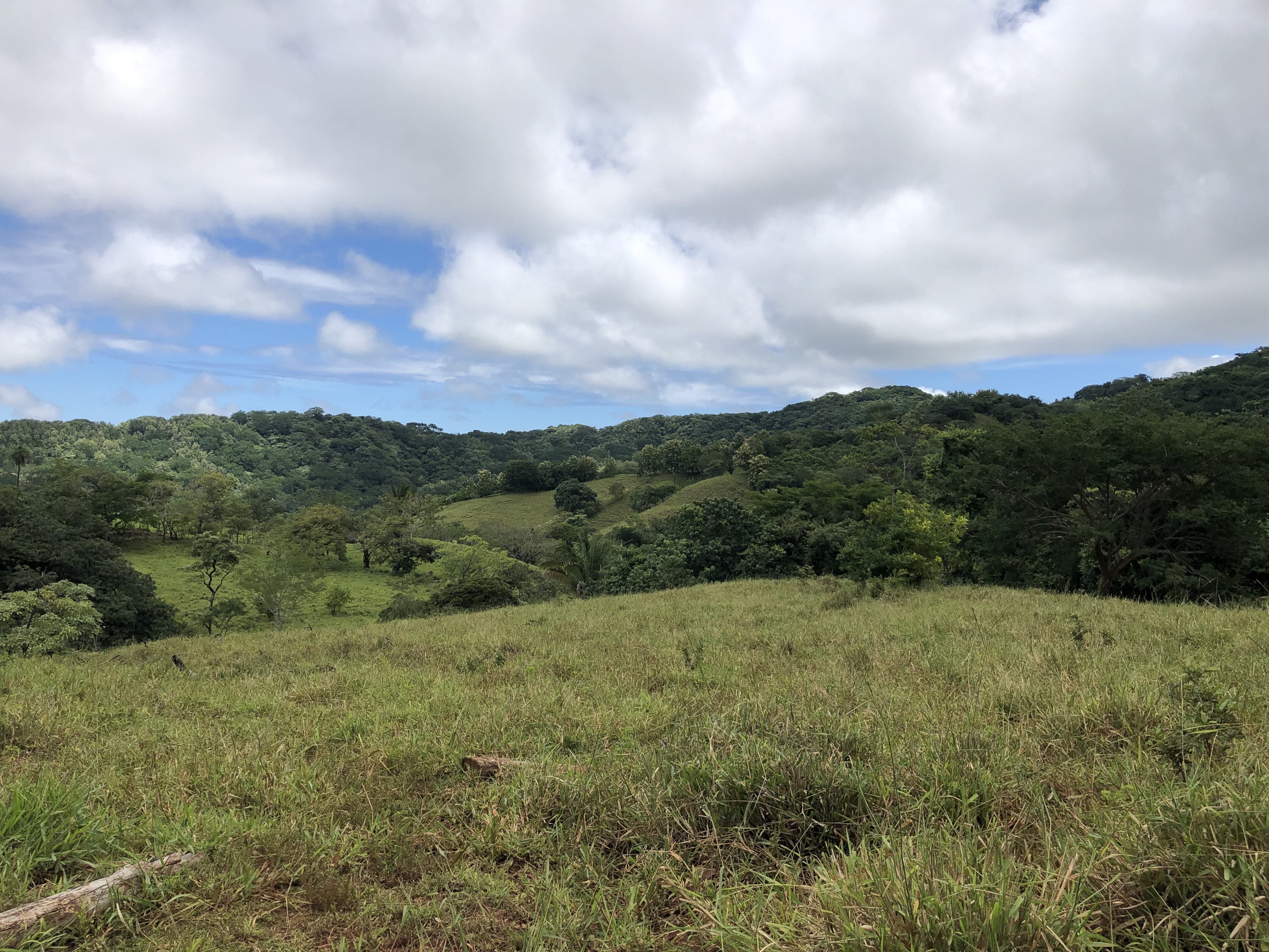 0 bed Land For Sale in Samara, Guanacaste - thumb 25