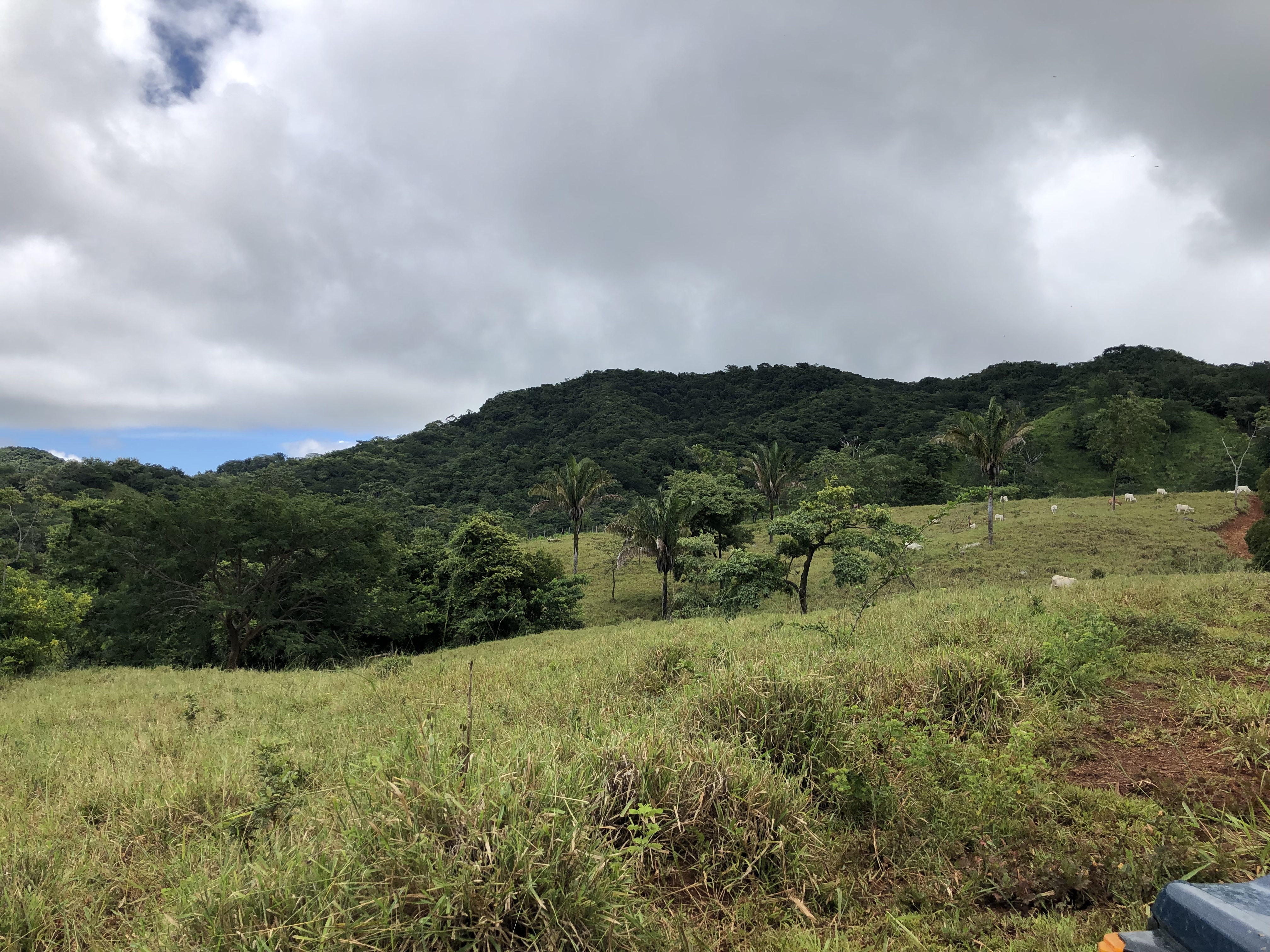0 bed Land For Sale in Samara, Guanacaste - thumb 29