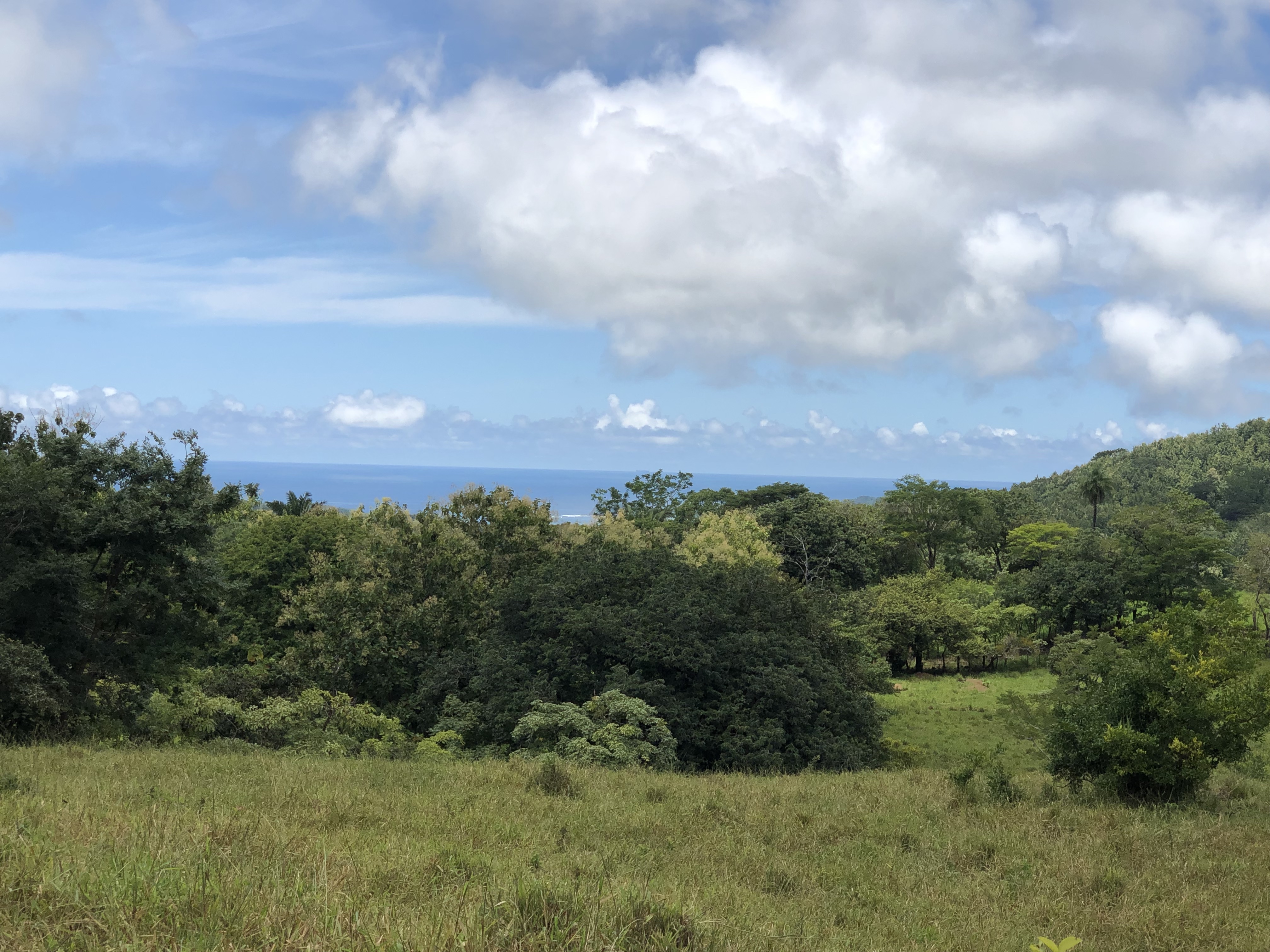 0 bed Land For Sale in Samara, Guanacaste - thumb 30