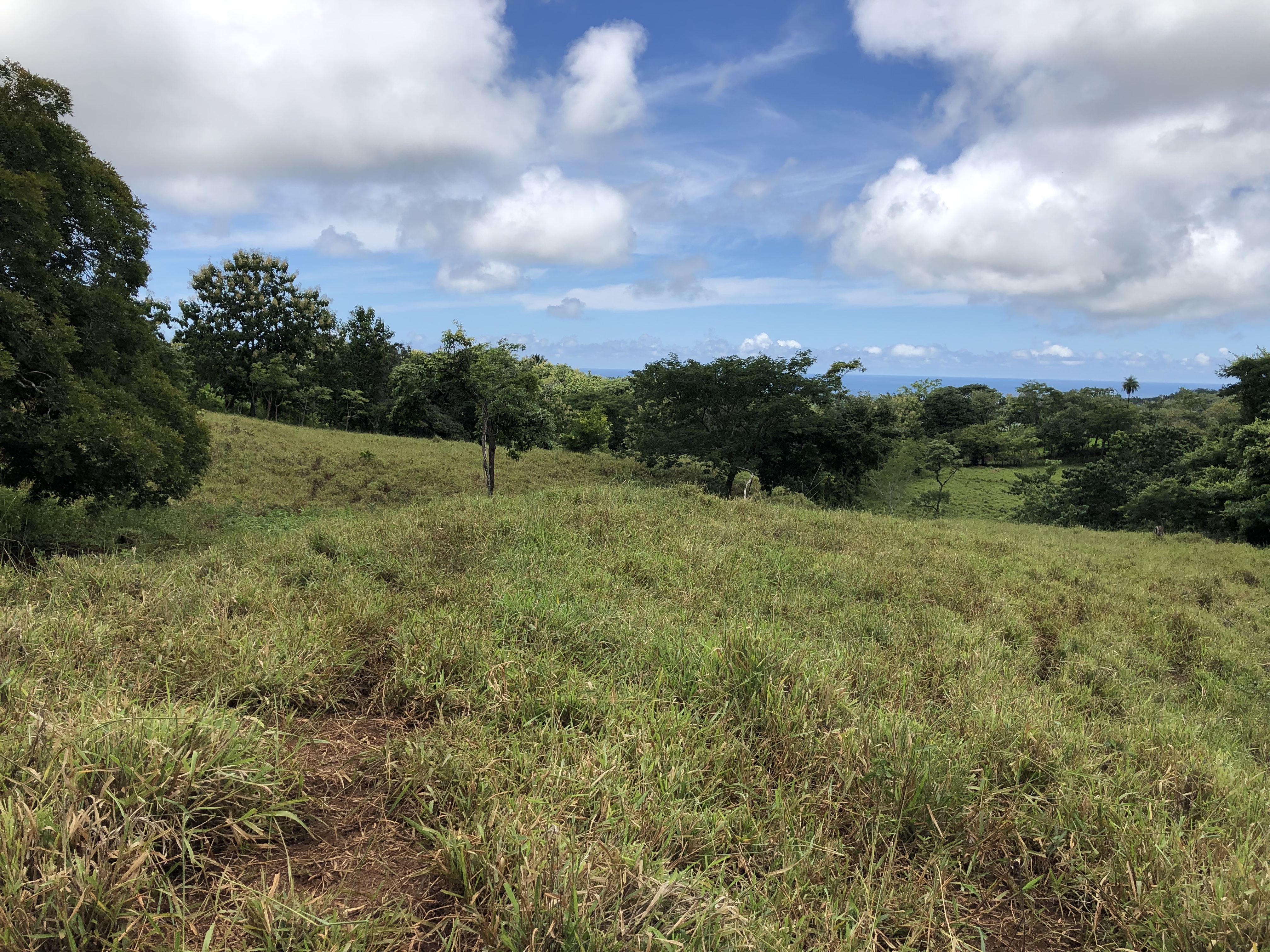 0 bed Land For Sale in Samara, Guanacaste - thumb 10