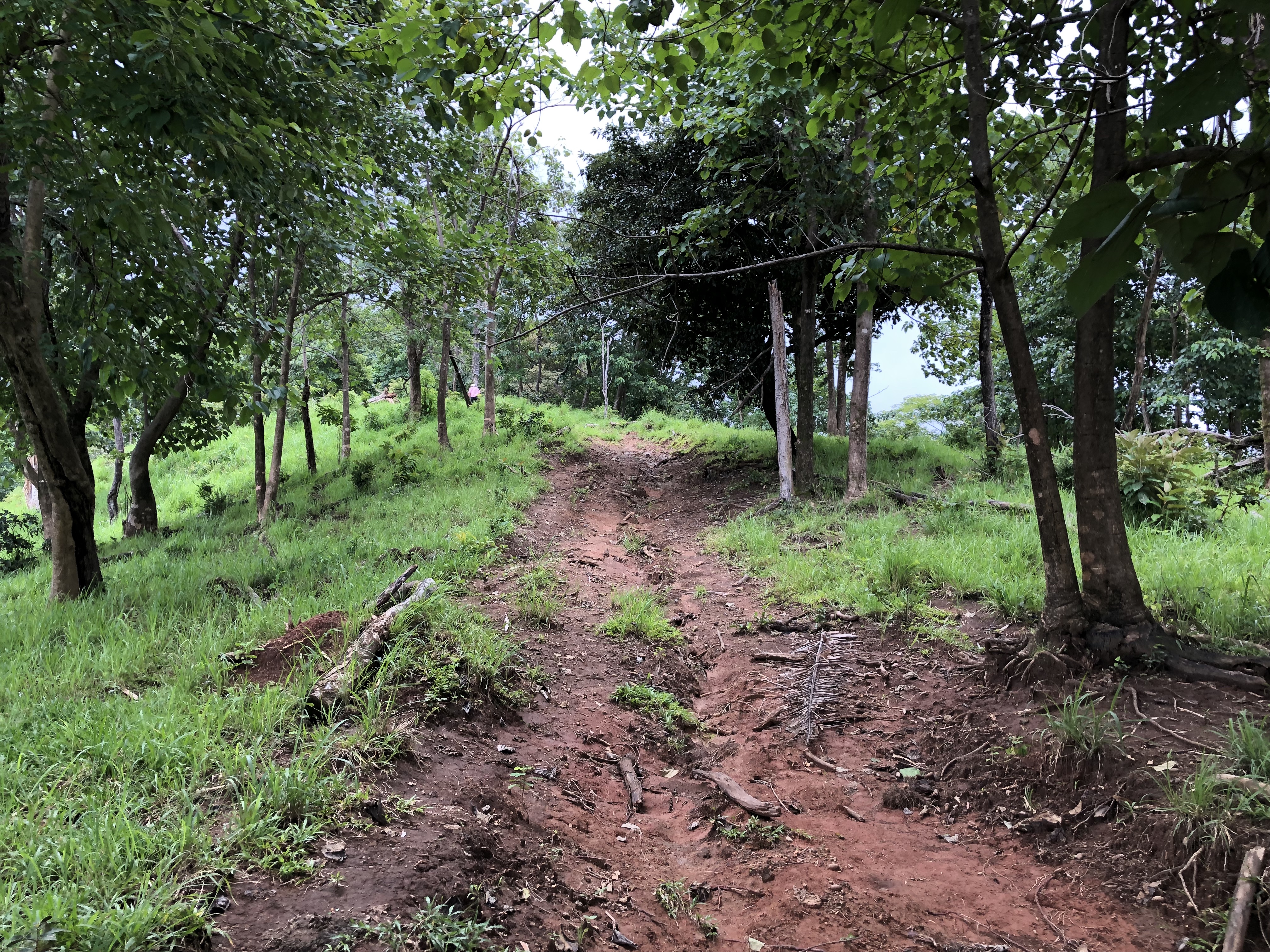 0 bed Land For Sale in Samara, Guanacaste - thumb 8