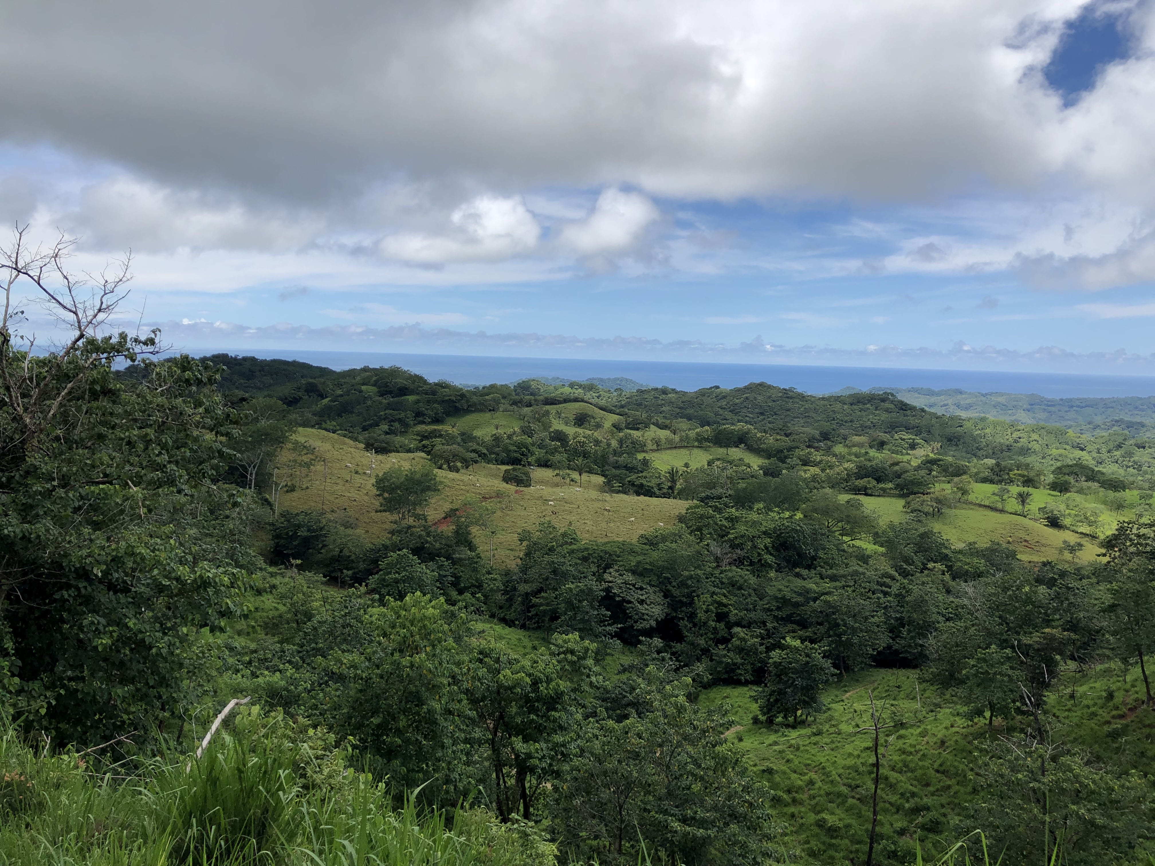 0 bed Land For Sale in Samara, Guanacaste - thumb 11