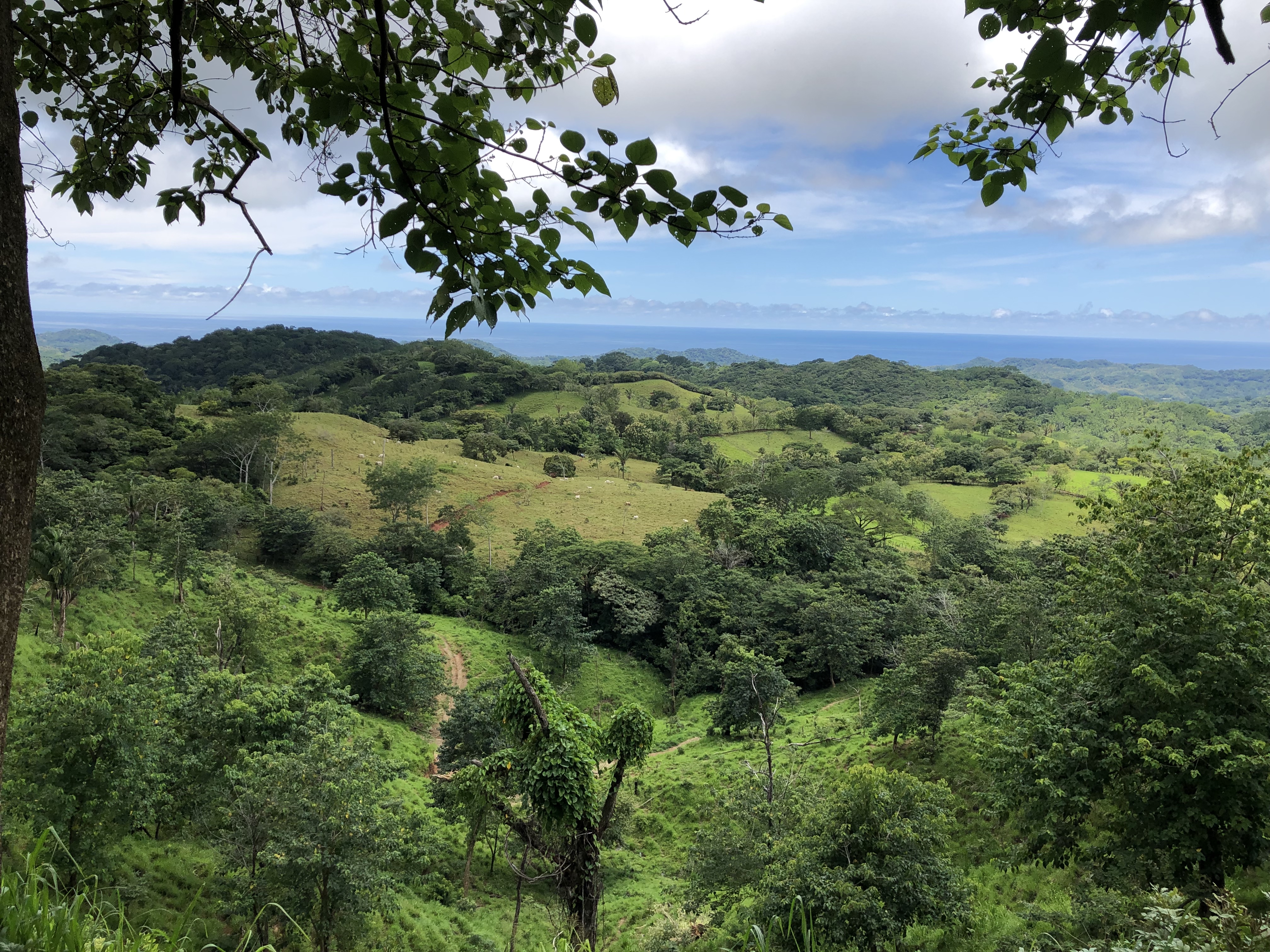 0 bed Land For Sale in Samara, Guanacaste - thumb 24
