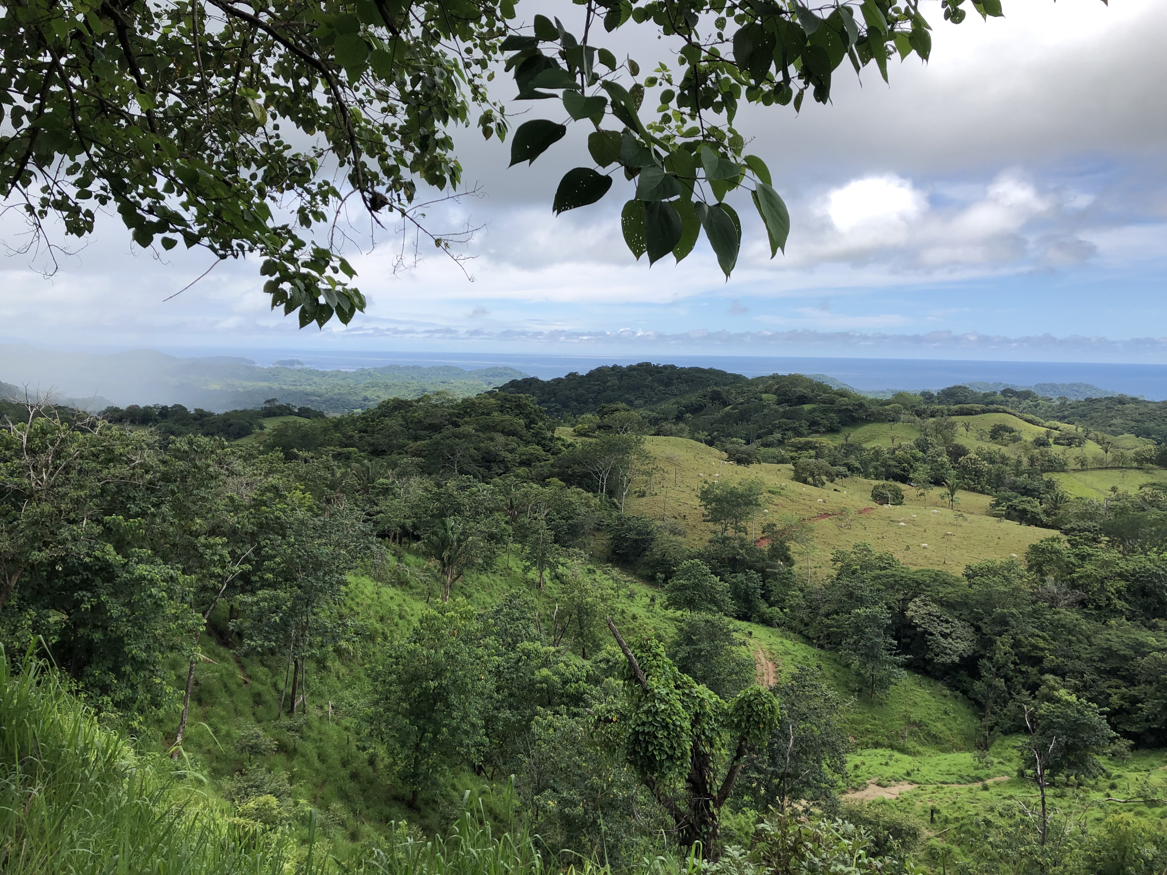 0 bed Land For Sale in Samara, Guanacaste - thumb 4