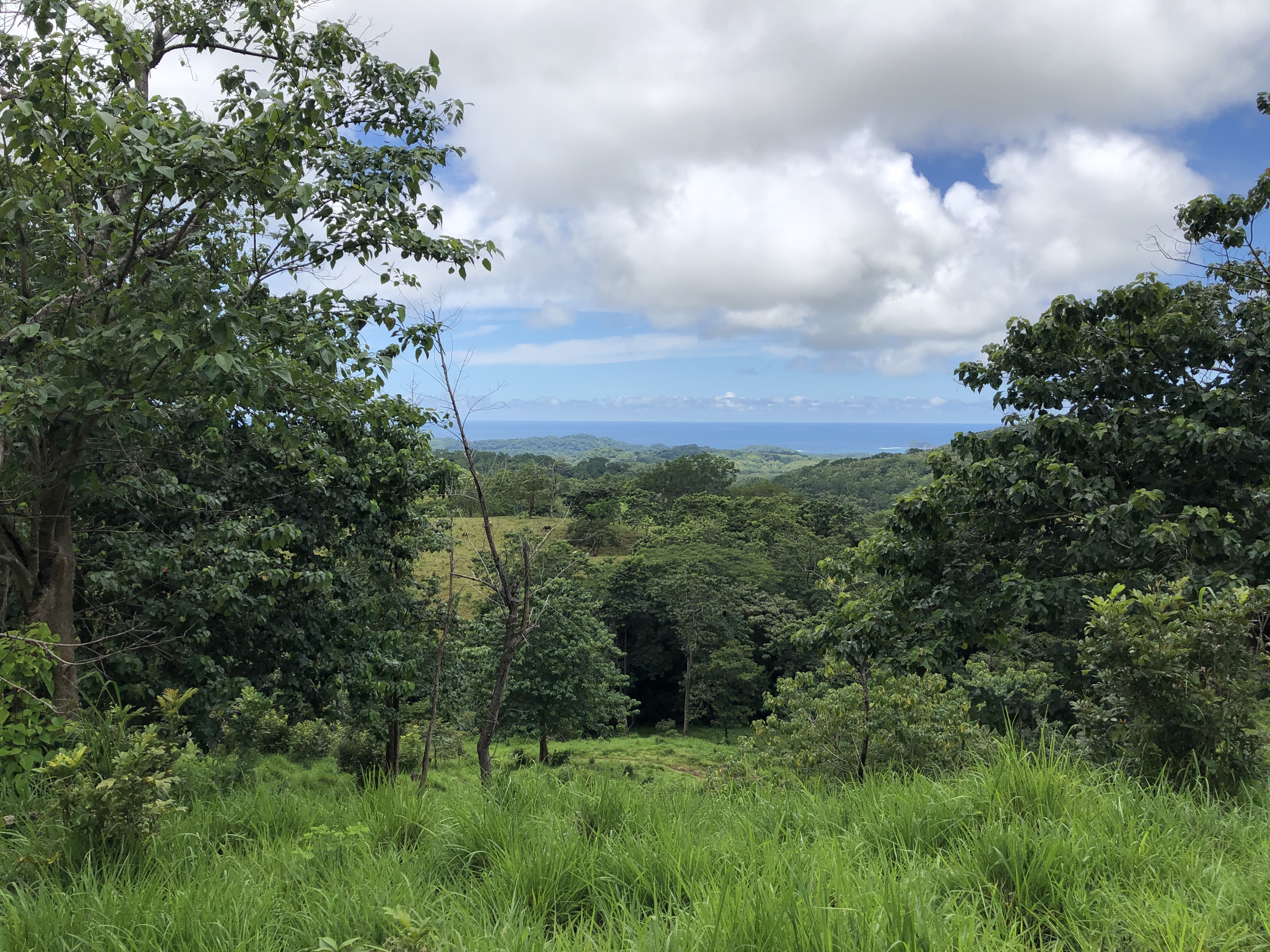 0 bed Land For Sale in Samara, Guanacaste - thumb 18