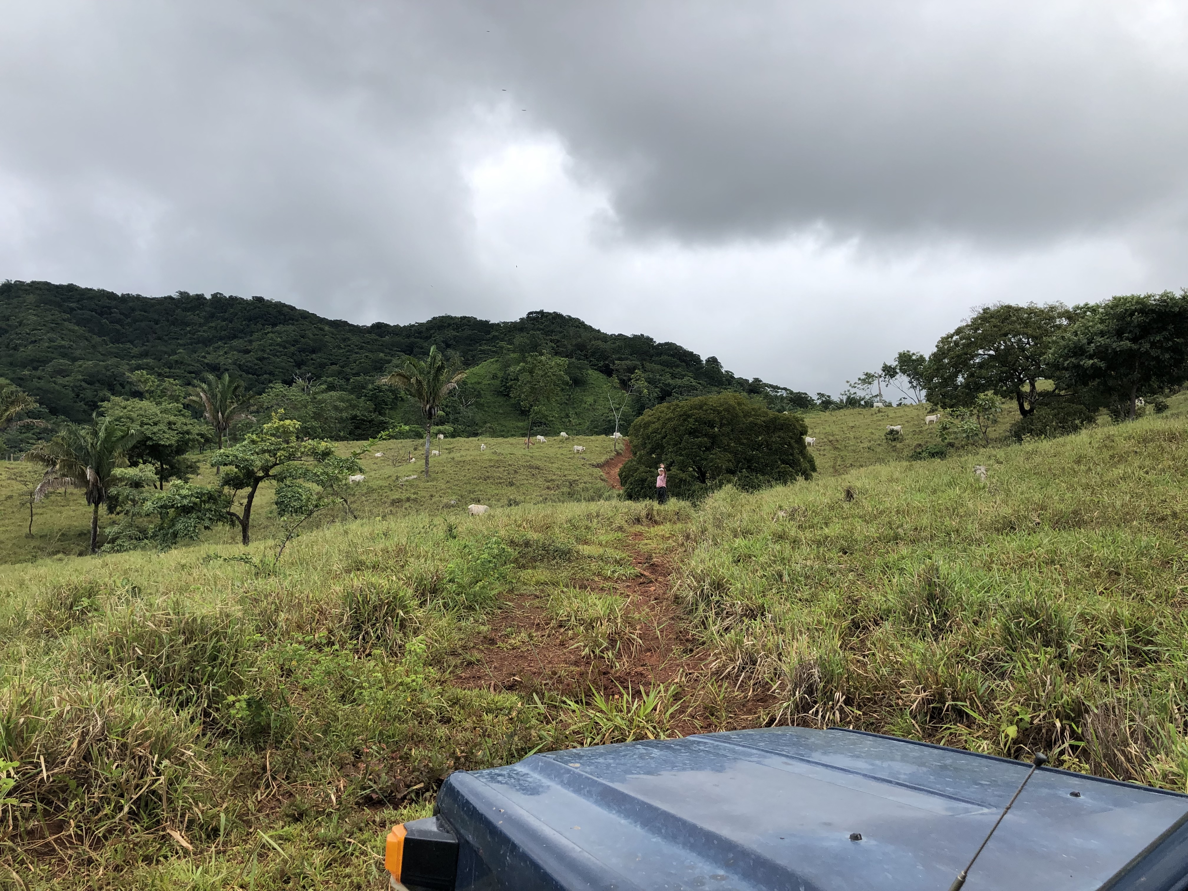 0 bed Land For Sale in Samara, Guanacaste - thumb 23