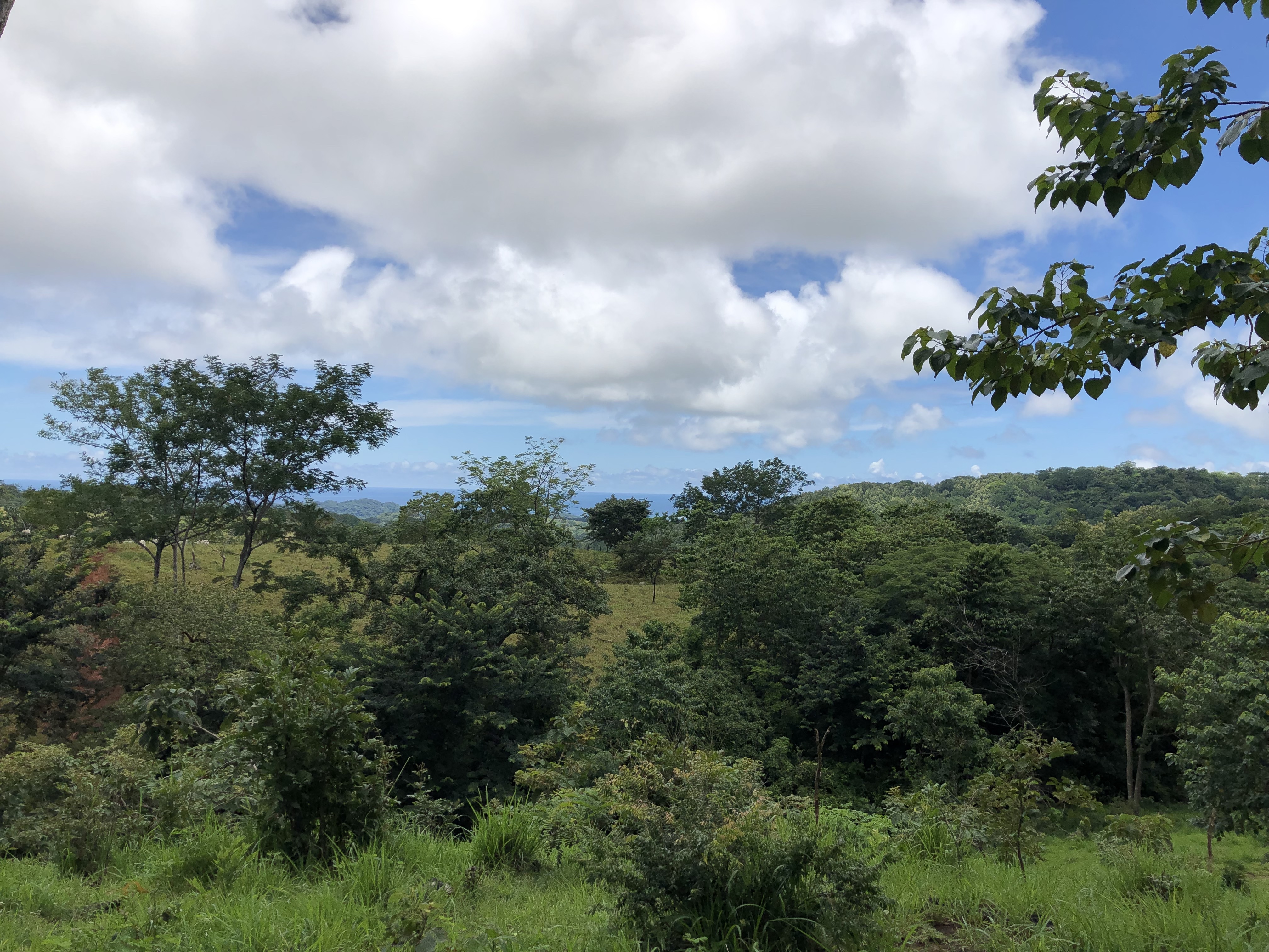 0 bed Land For Sale in Samara, Guanacaste - thumb 12