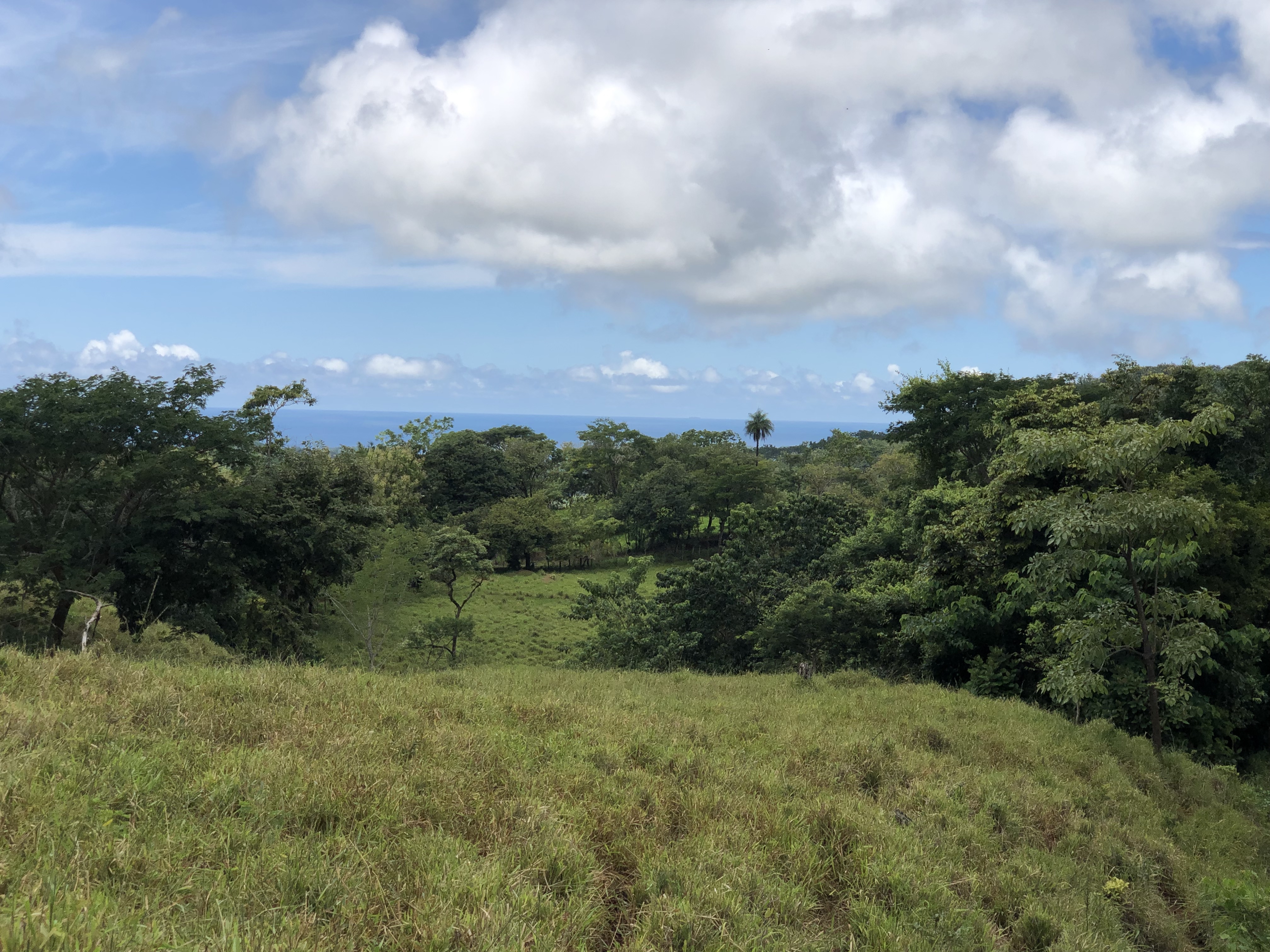 0 bed Land For Sale in Samara, Guanacaste - thumb 19