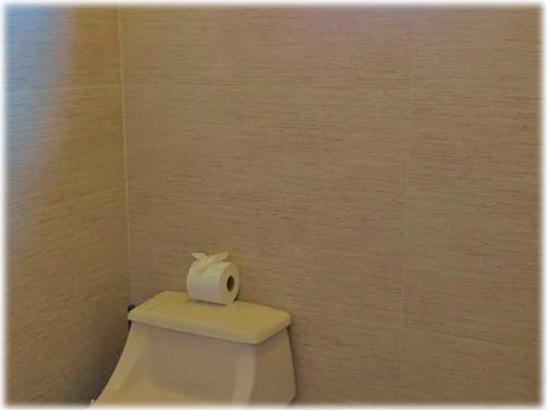 5 bed Single Family Homes For Sale in Avellanas, Guanacaste - thumb 9