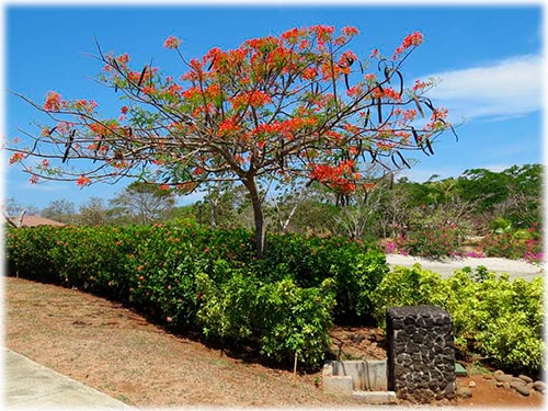 5 bed Single Family Homes For Sale in Avellanas, Guanacaste - thumb 28