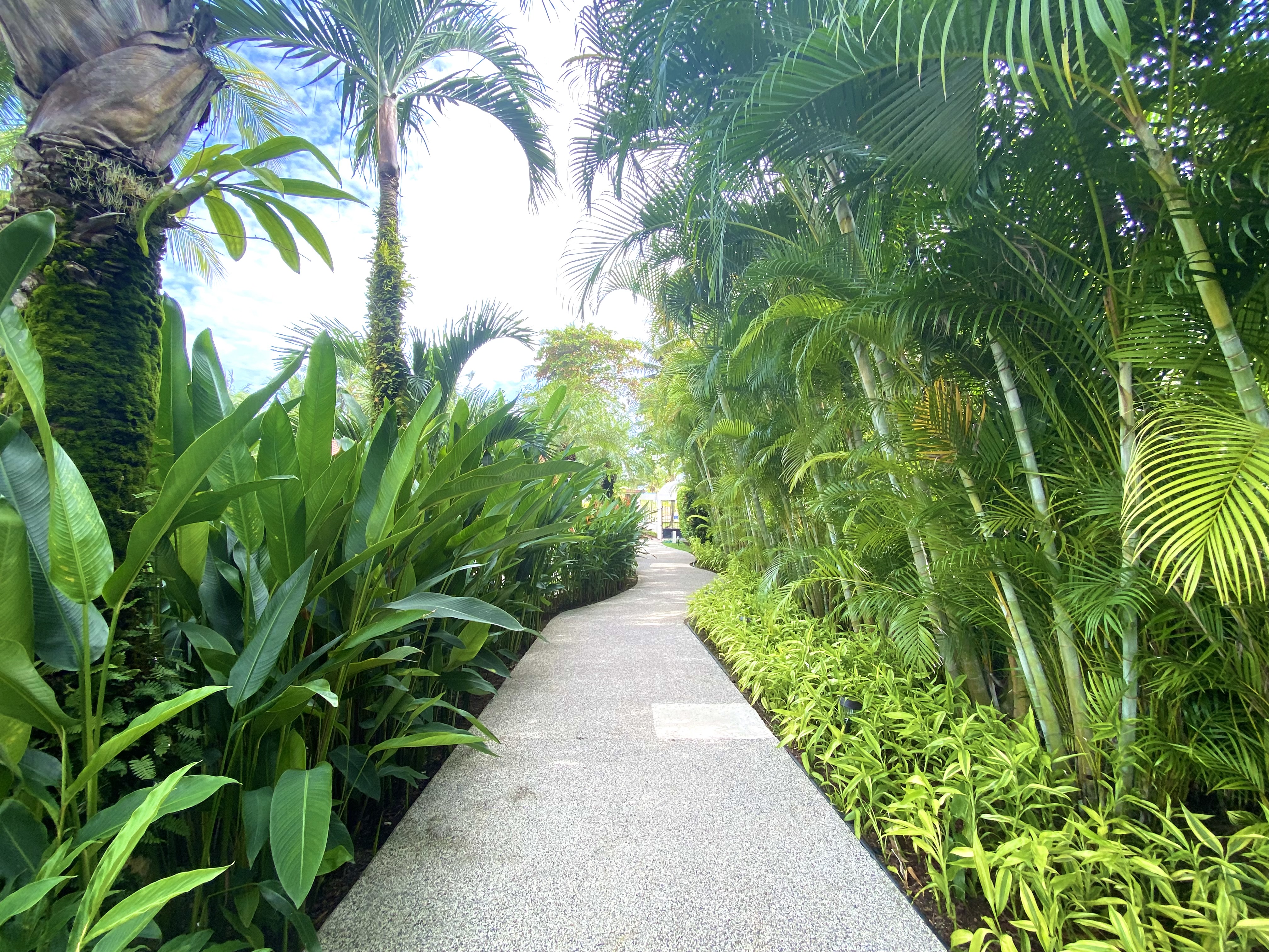 3 bed Single Family Homes For Sale in Jaco, Puntarenas - thumb 26