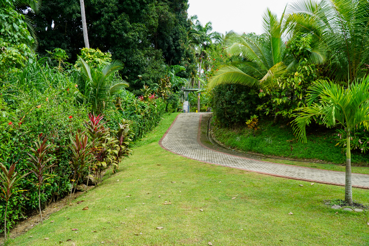 1 bed Single Family Homes For Sale in Dominical, Puntarenas - thumb 23