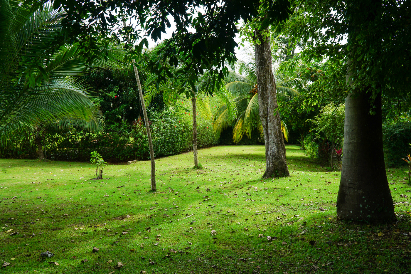 1 bed Single Family Homes For Sale in Dominical, Puntarenas - thumb 19