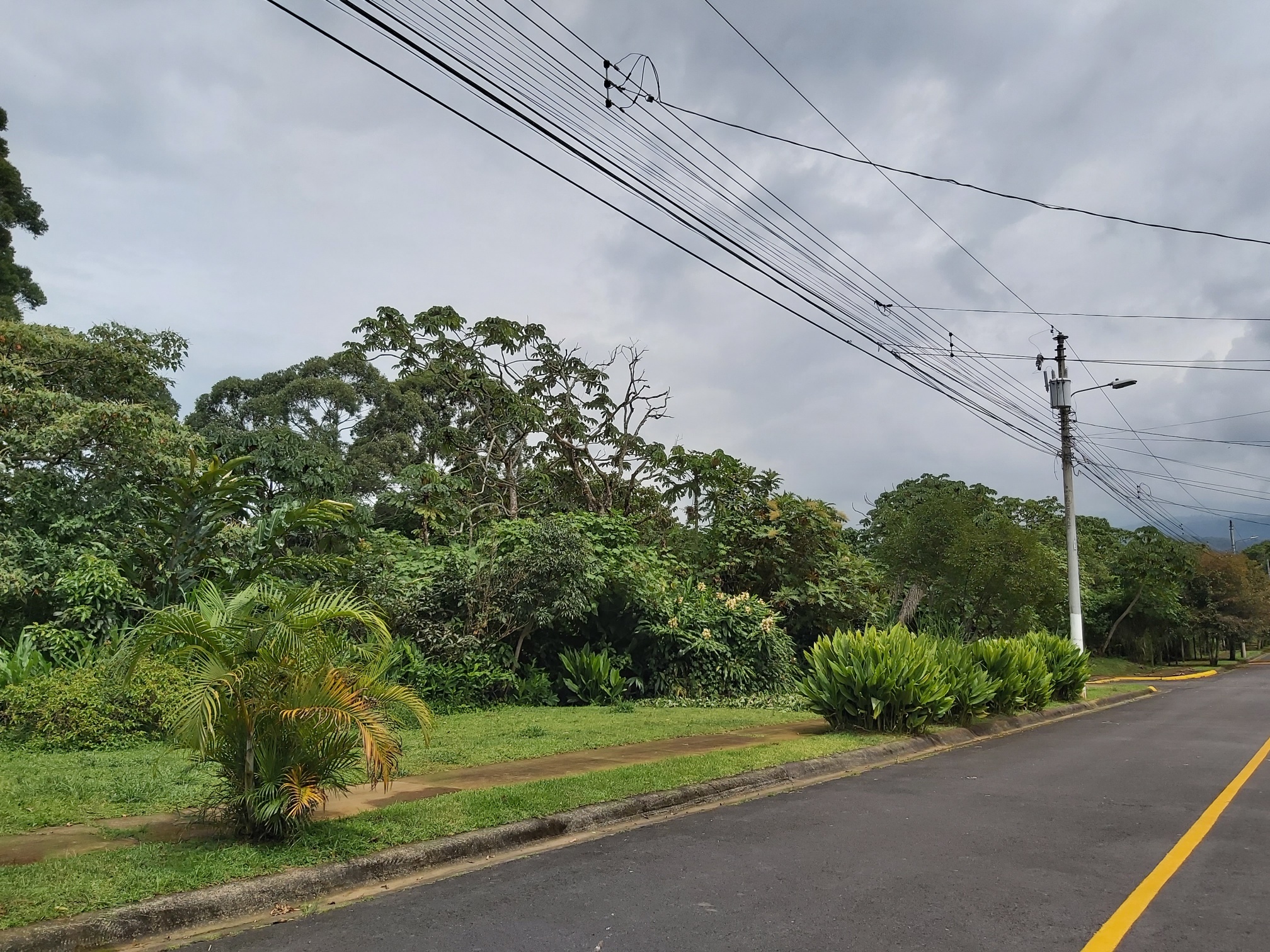 0 bed Land For Sale in Curridabat, San Jose - thumb 3