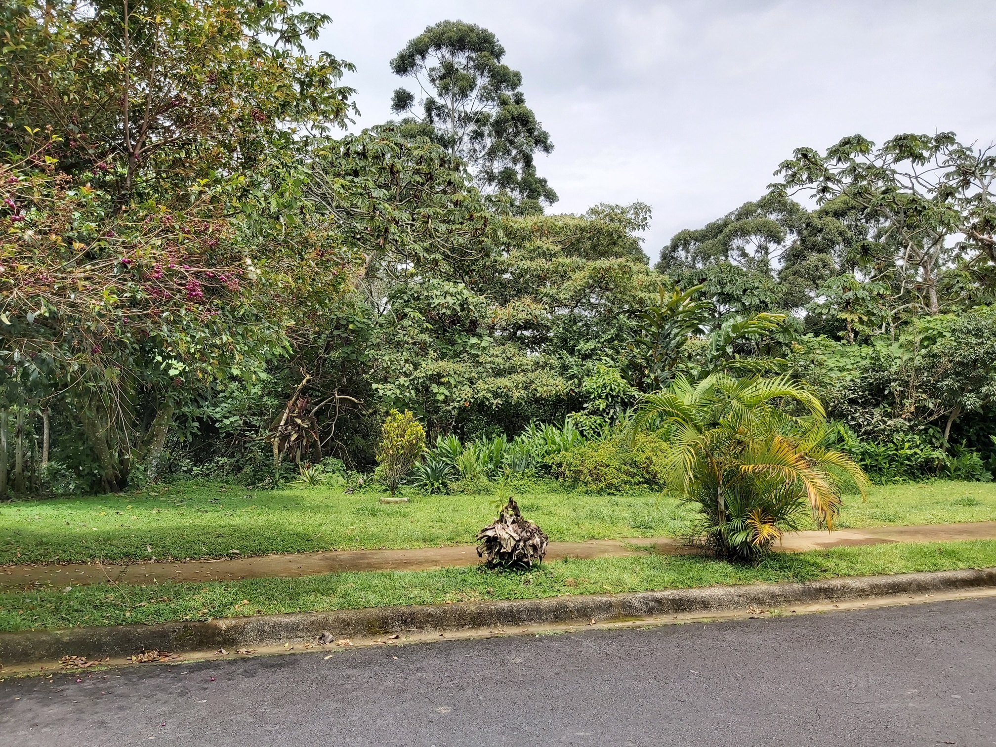 0 bed Land For Sale in Curridabat, San Jose - thumb 3