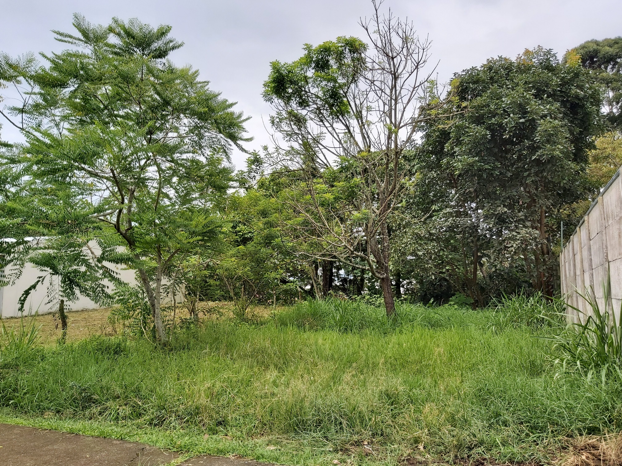 0 bed Land For Sale in Curridabat, San Jose - thumb 4