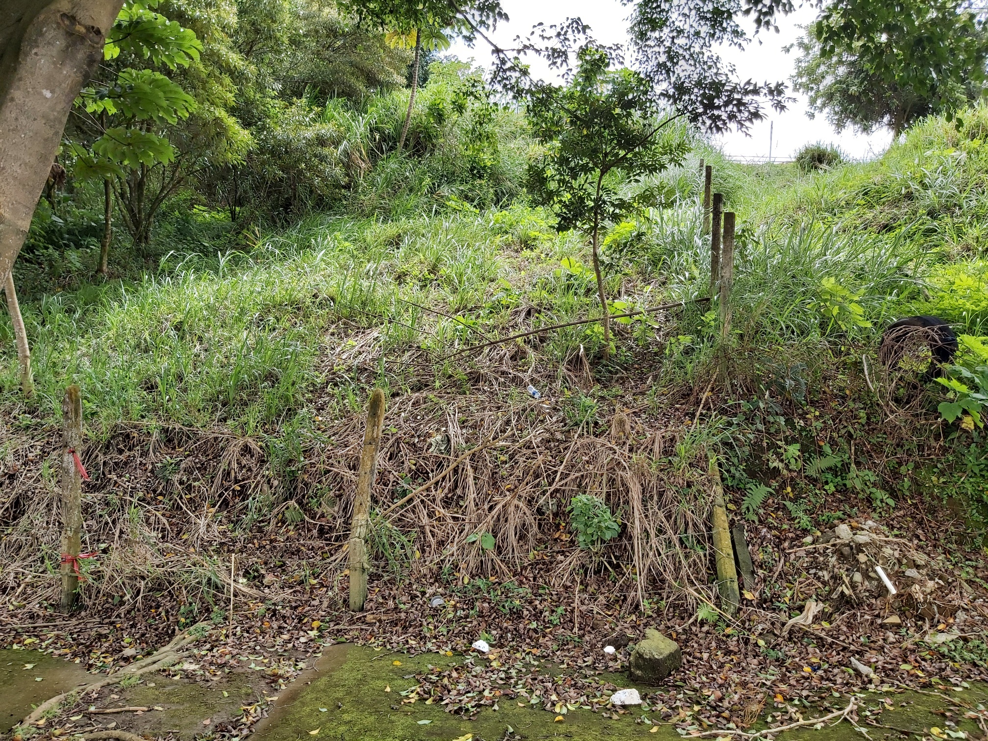 0 bed Land For Sale in Curridabat, San Jose - thumb 1