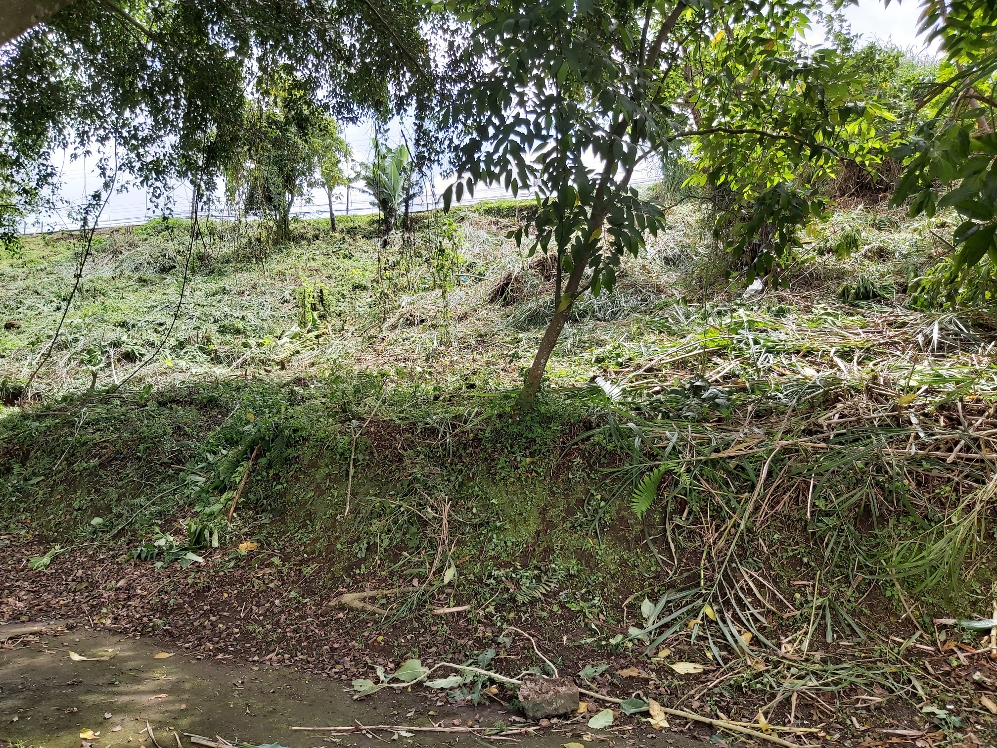 0 bed Land For Sale in Curridabat, San Jose - thumb 2