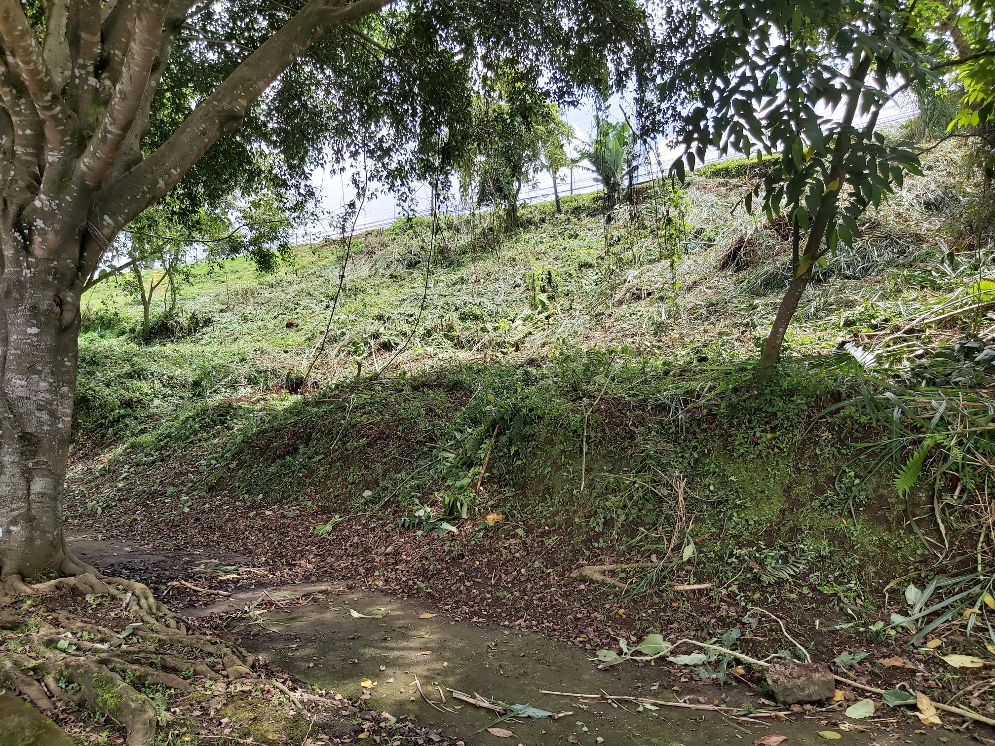 0 bed Land For Sale in Curridabat, San Jose - thumb 3