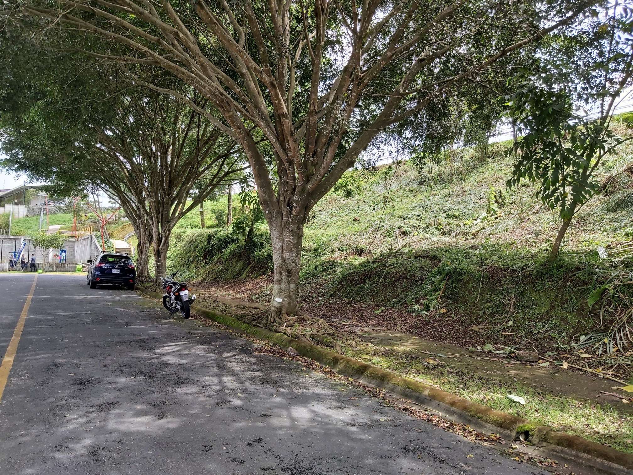 0 bed Land For Sale in Curridabat, San Jose - thumb 5