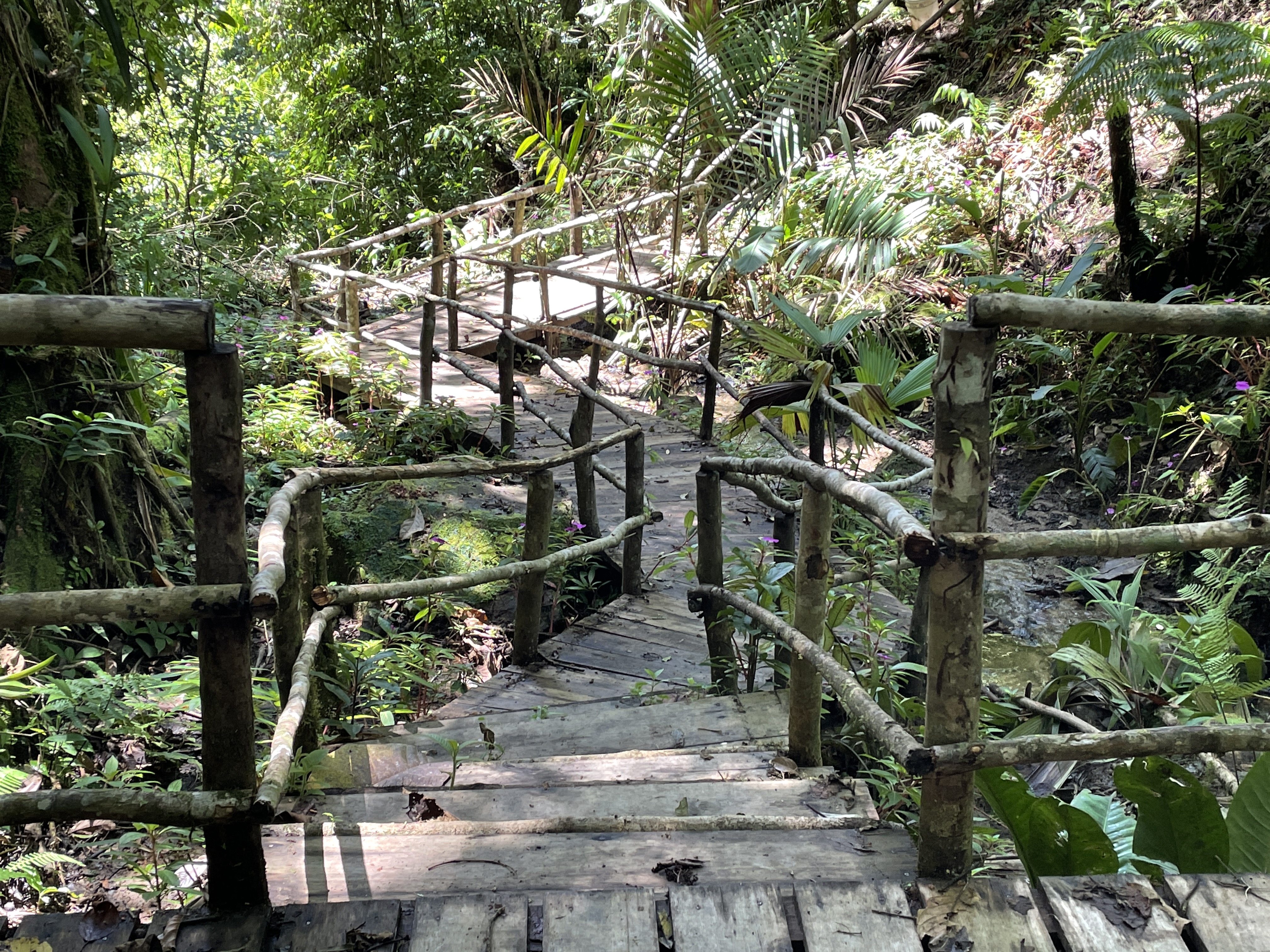 5 bed Single Family Homes For Sale in Aguacaliente, Cartago - thumb 14