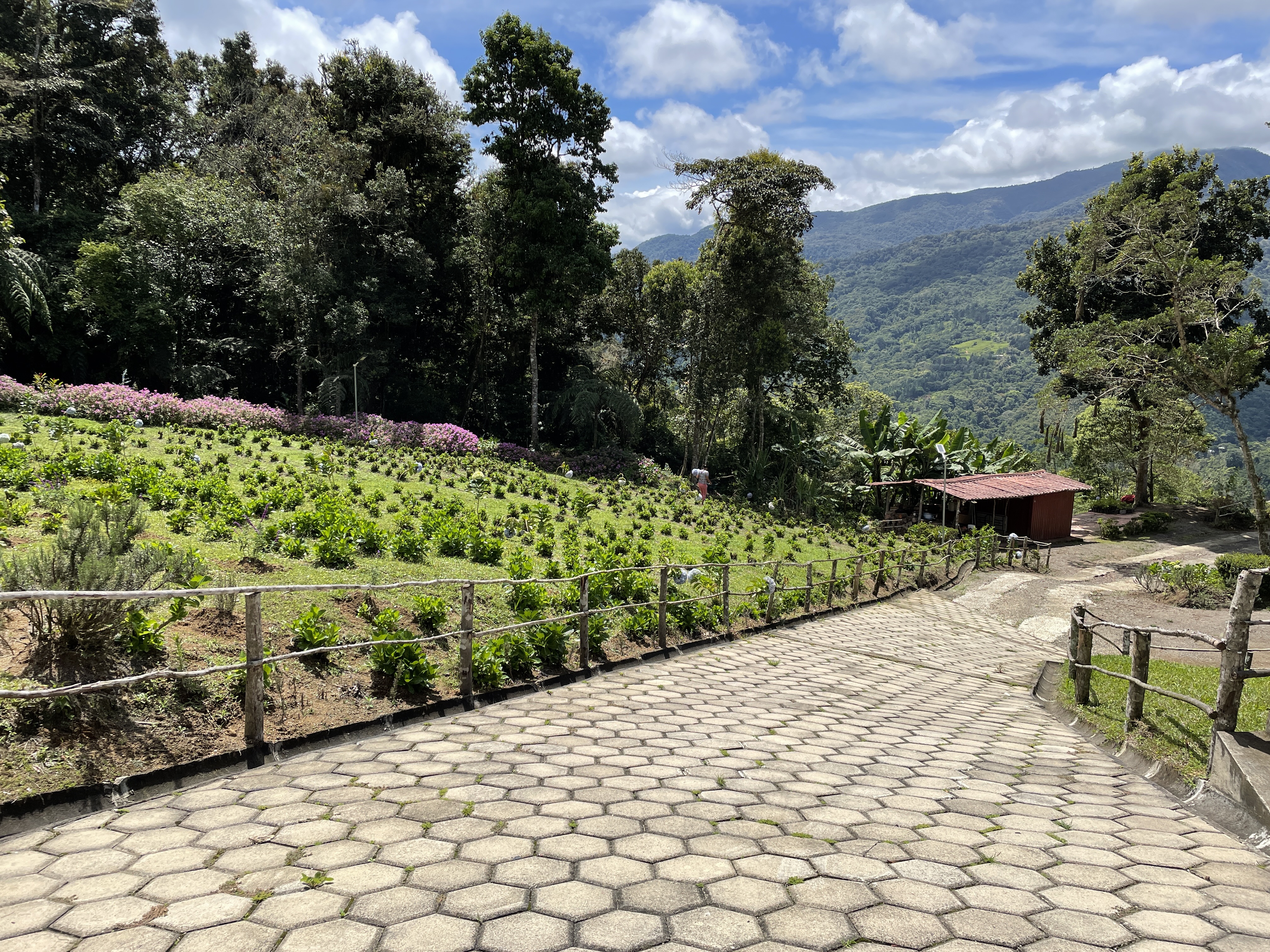 5 bed Single Family Homes For Sale in Aguacaliente, Cartago - thumb 12