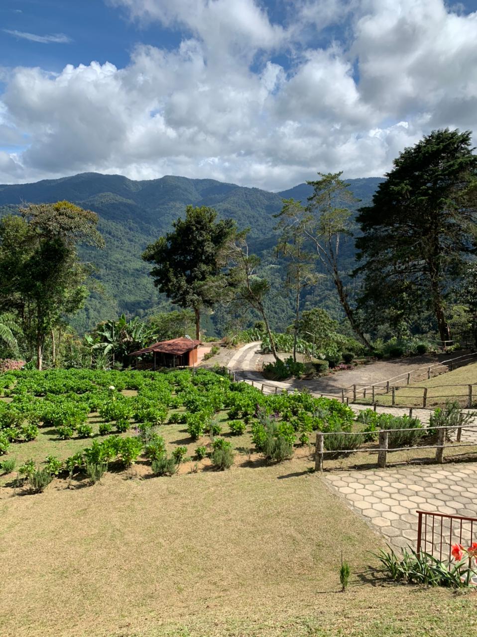 5 bed Single Family Homes For Sale in Aguacaliente, Cartago - thumb 30