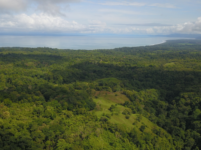0 bed Land For Sale in Golfito, Puntarenas - 1