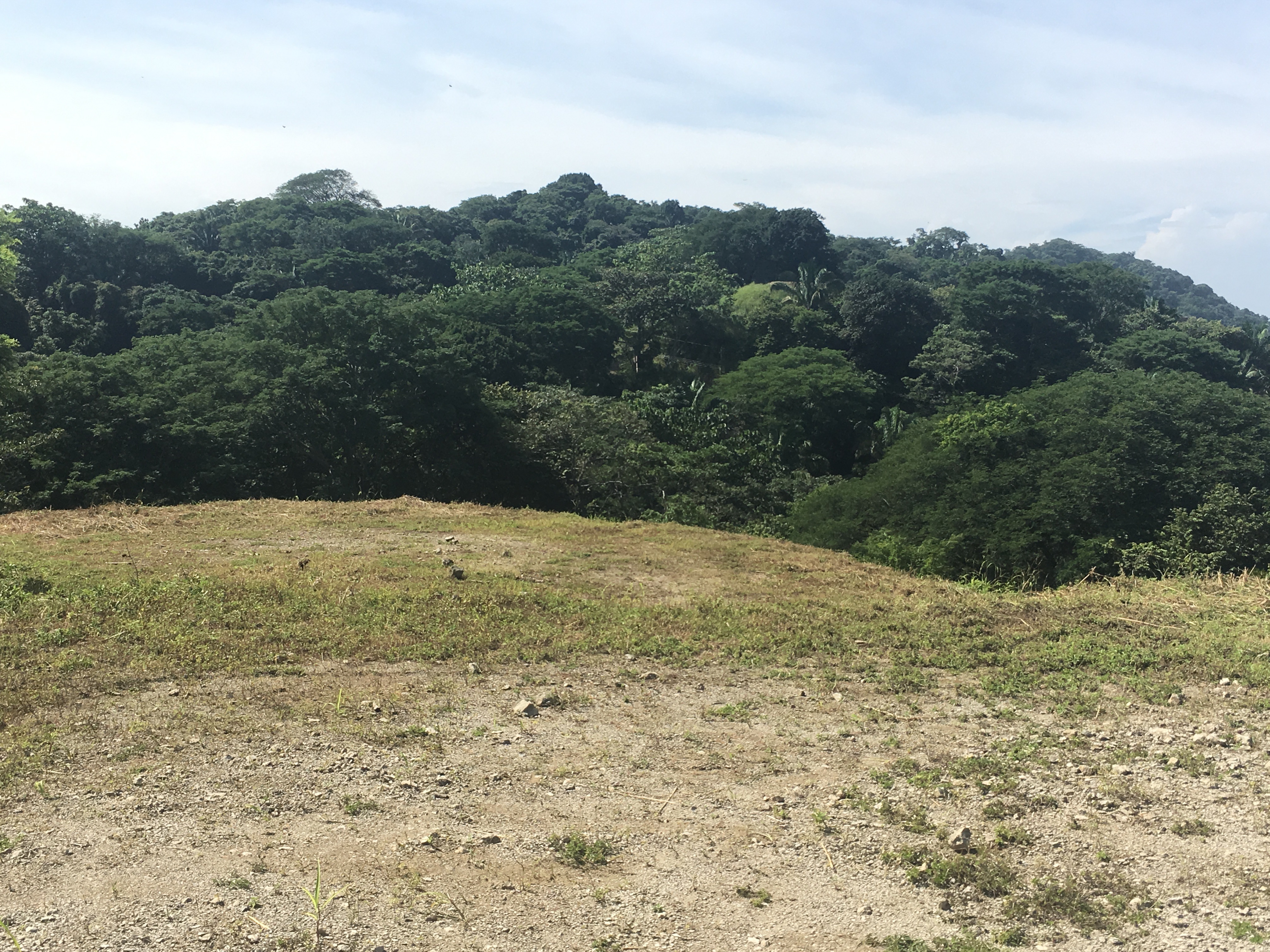 0 bed Land For Sale in Samara, Guanacaste - thumb 2