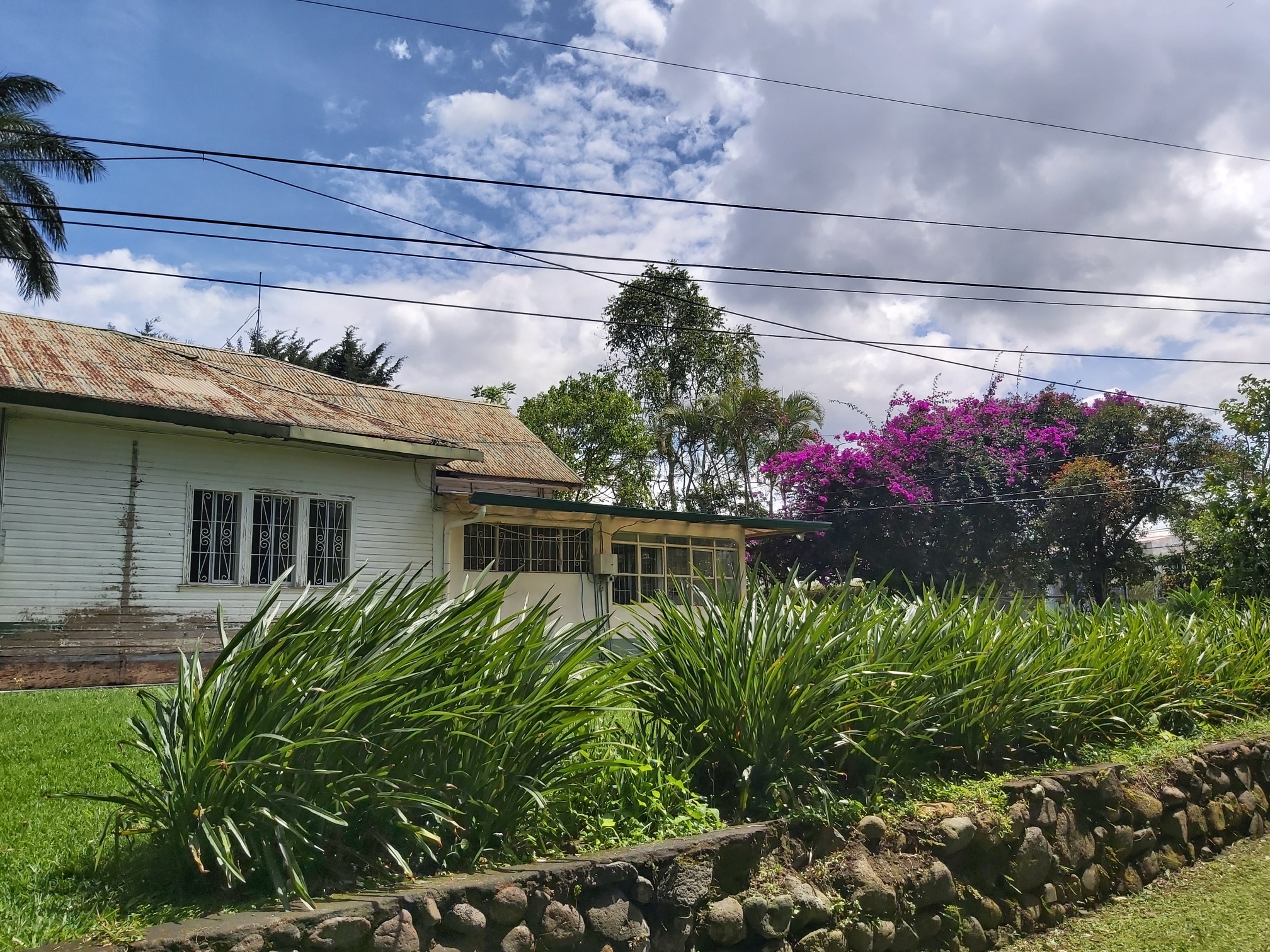 0 bed Land For Sale in Montes de Oca, San Jose - thumb 7