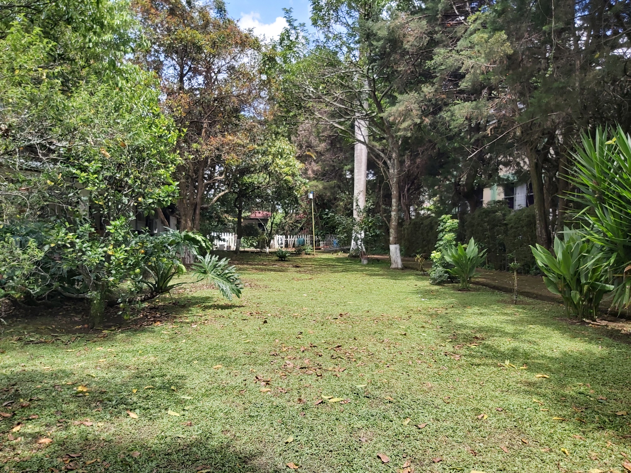 0 bed Land For Sale in Montes de Oca, San Jose - thumb 3