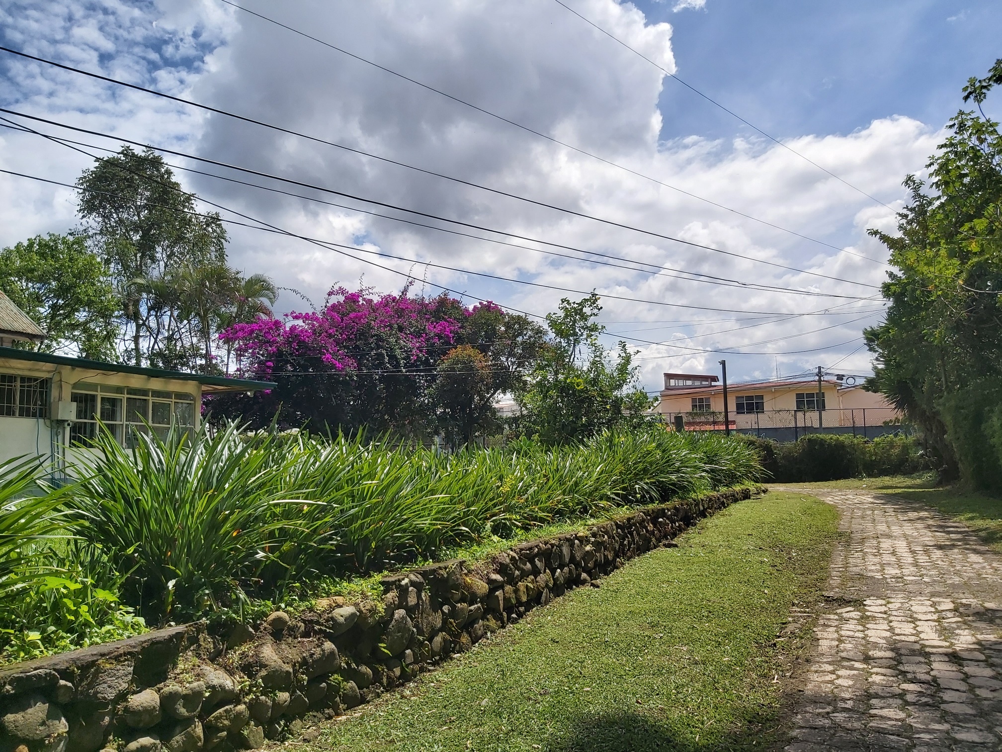 0 bed Land For Sale in Montes de Oca, San Jose - thumb 6