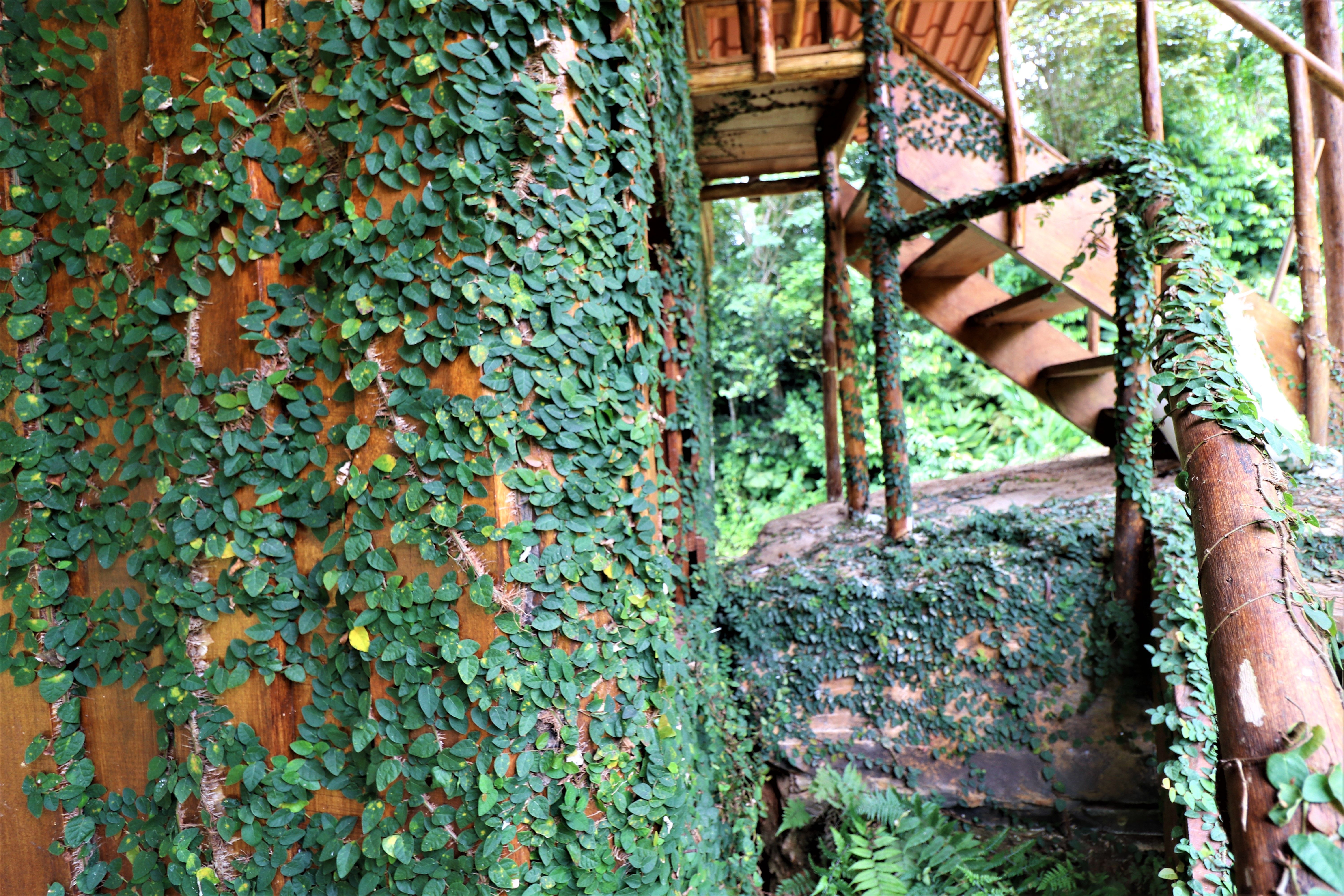 1 bed Single Family Homes For Sale in Puntarenas, Puntarenas - thumb 9