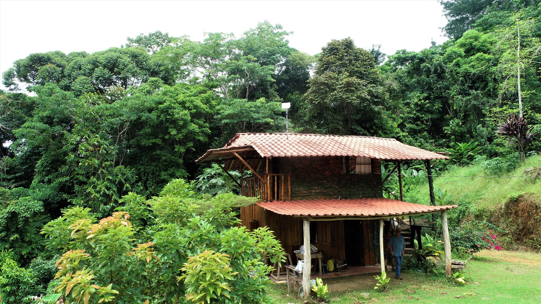 1 bed Single Family Homes For Sale in Puntarenas, Puntarenas - thumb 1