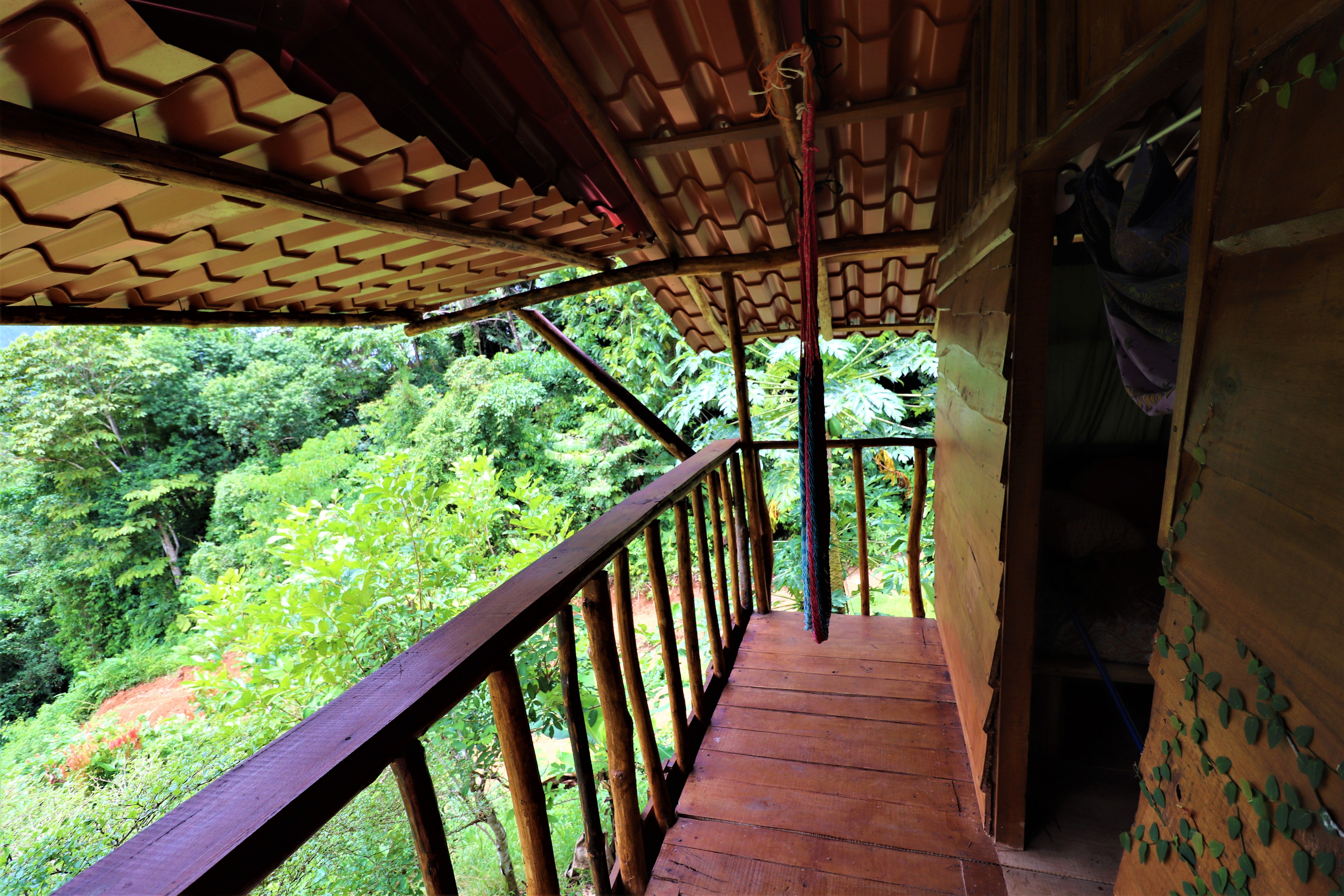 1 bed Single Family Homes For Sale in Puntarenas, Puntarenas - thumb 12