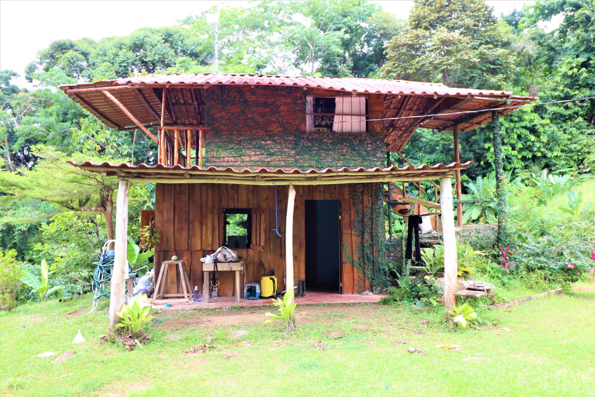 1 bed Single Family Homes For Sale in Puntarenas, Puntarenas - thumb 2