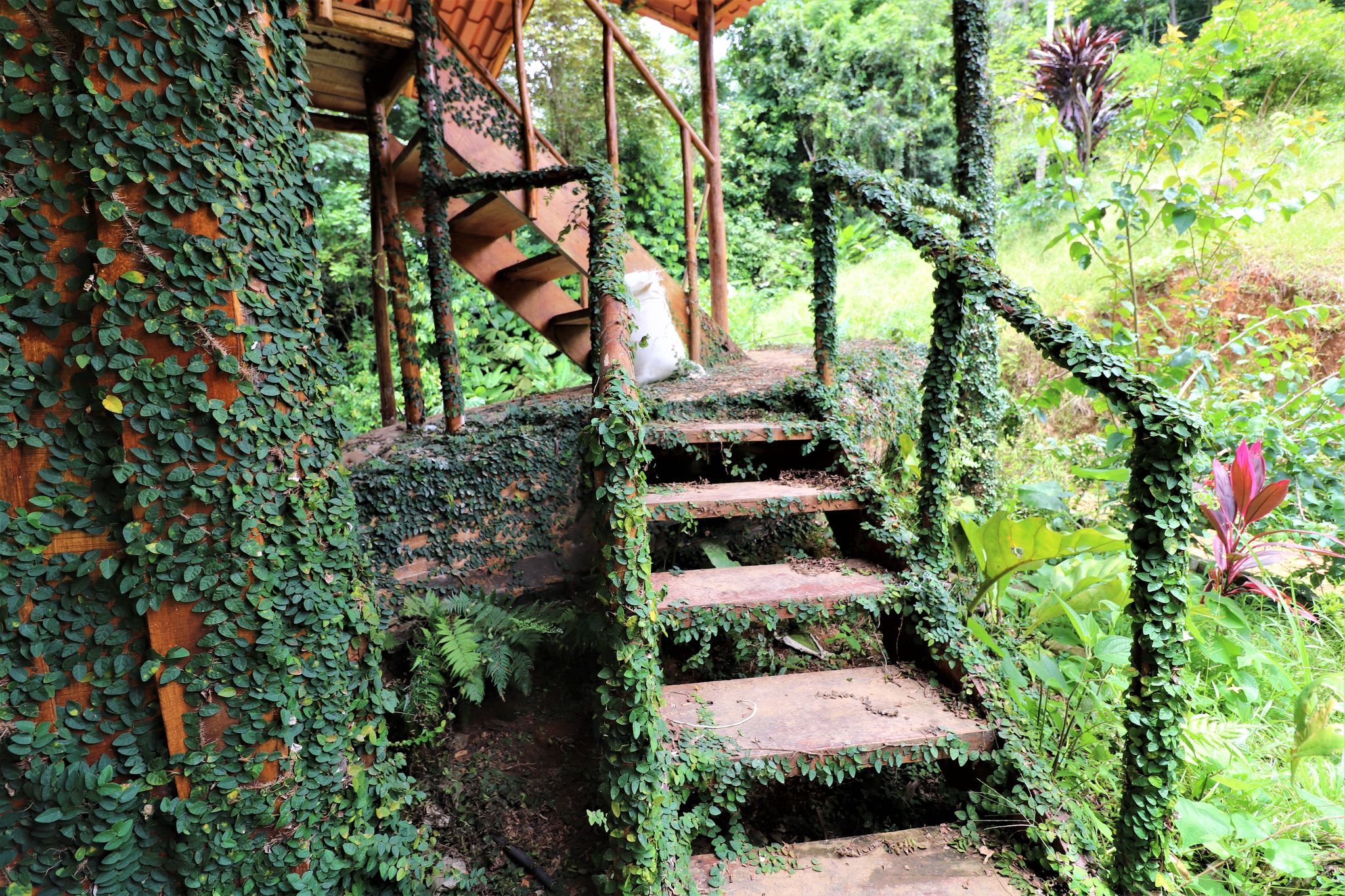 1 bed Single Family Homes For Sale in Puntarenas, Puntarenas - thumb 15