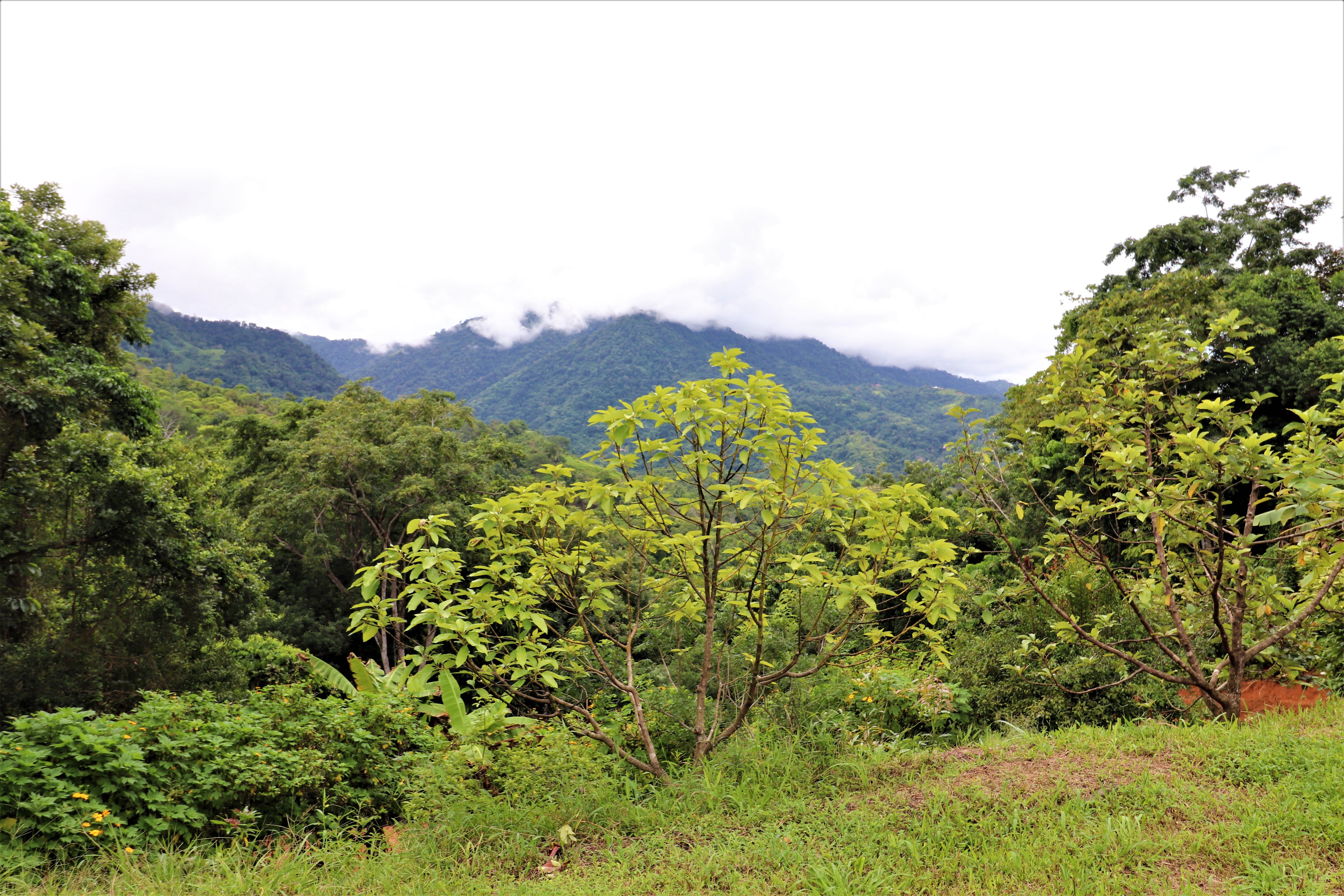 1 bed Single Family Homes For Sale in Puntarenas, Puntarenas - thumb 16