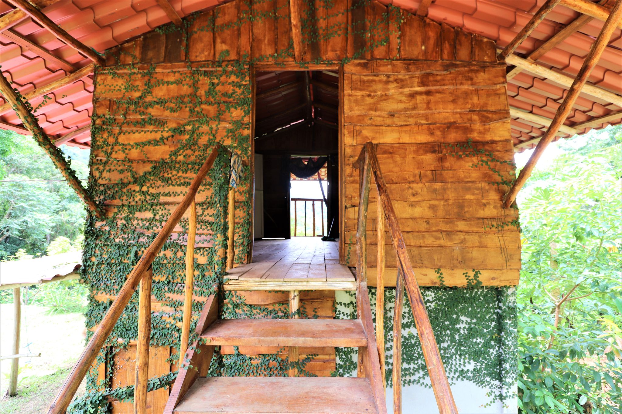 1 bed Single Family Homes For Sale in Puntarenas, Puntarenas - thumb 13