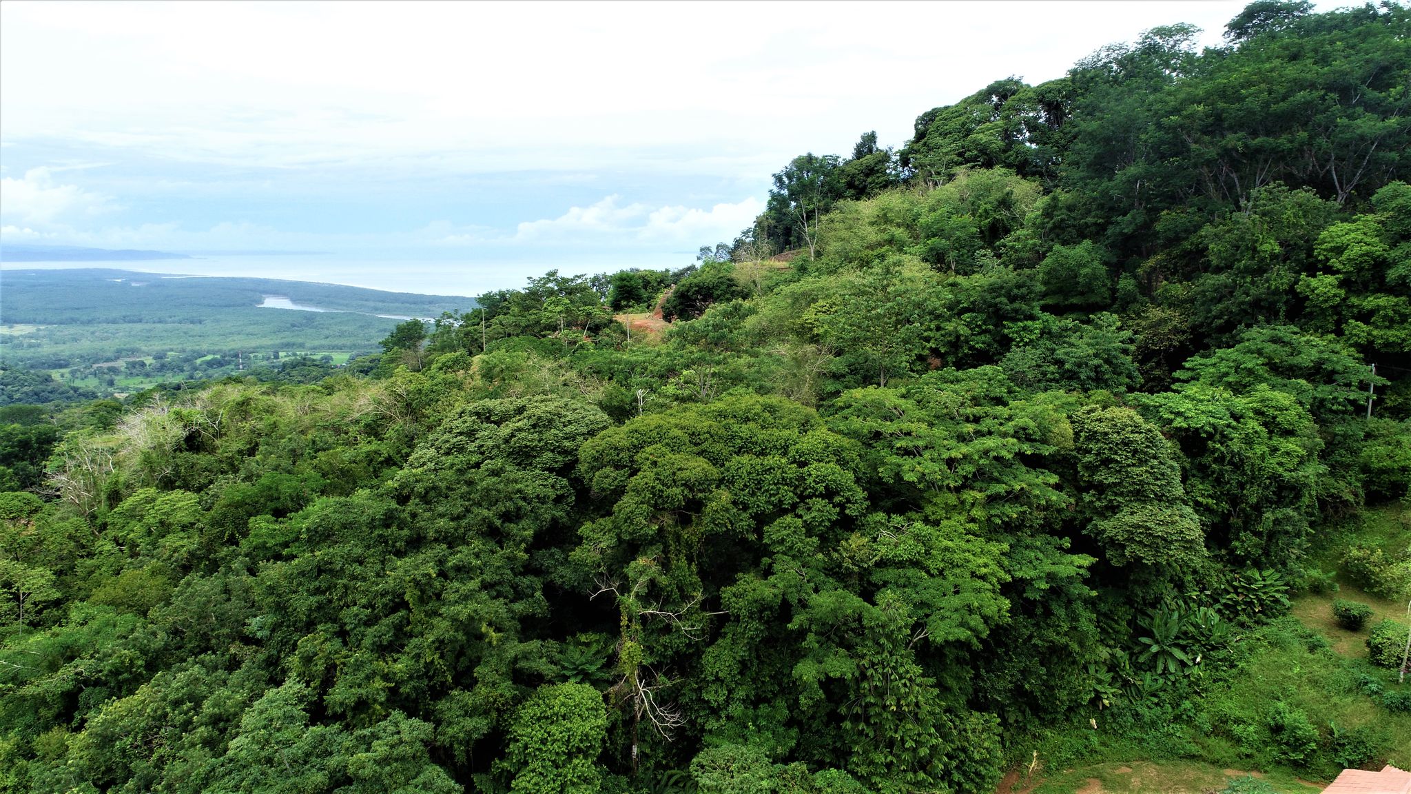 1 bed Single Family Homes For Sale in Puntarenas, Puntarenas - thumb 4