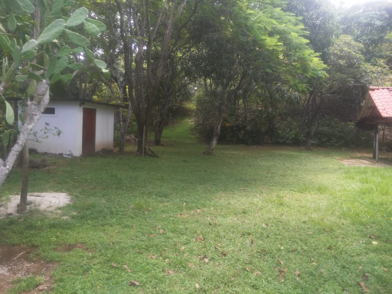 0 bed Land For Sale in Punta Islita Pacific, Guanacaste - thumb 5