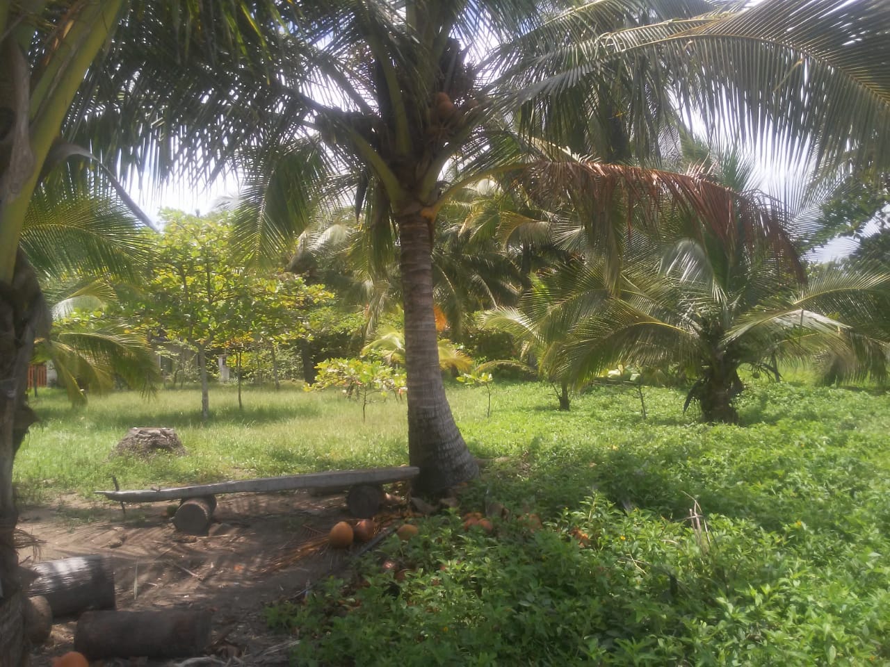 0 bed Land For Sale in Punta Islita Pacific, Guanacaste - thumb 4