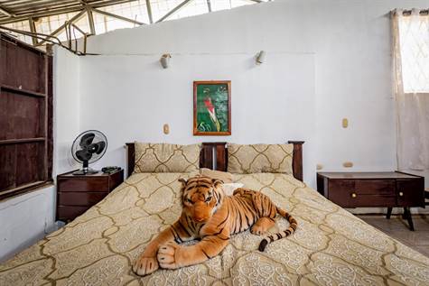 4 bed Single Family Homes For Sale in Playas Del Coco, Guanacaste - thumb 23