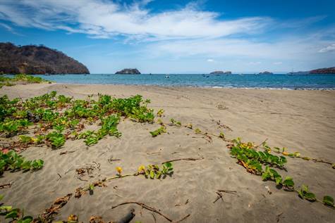 4 bed Single Family Homes For Sale in Playas Del Coco, Guanacaste - thumb 2