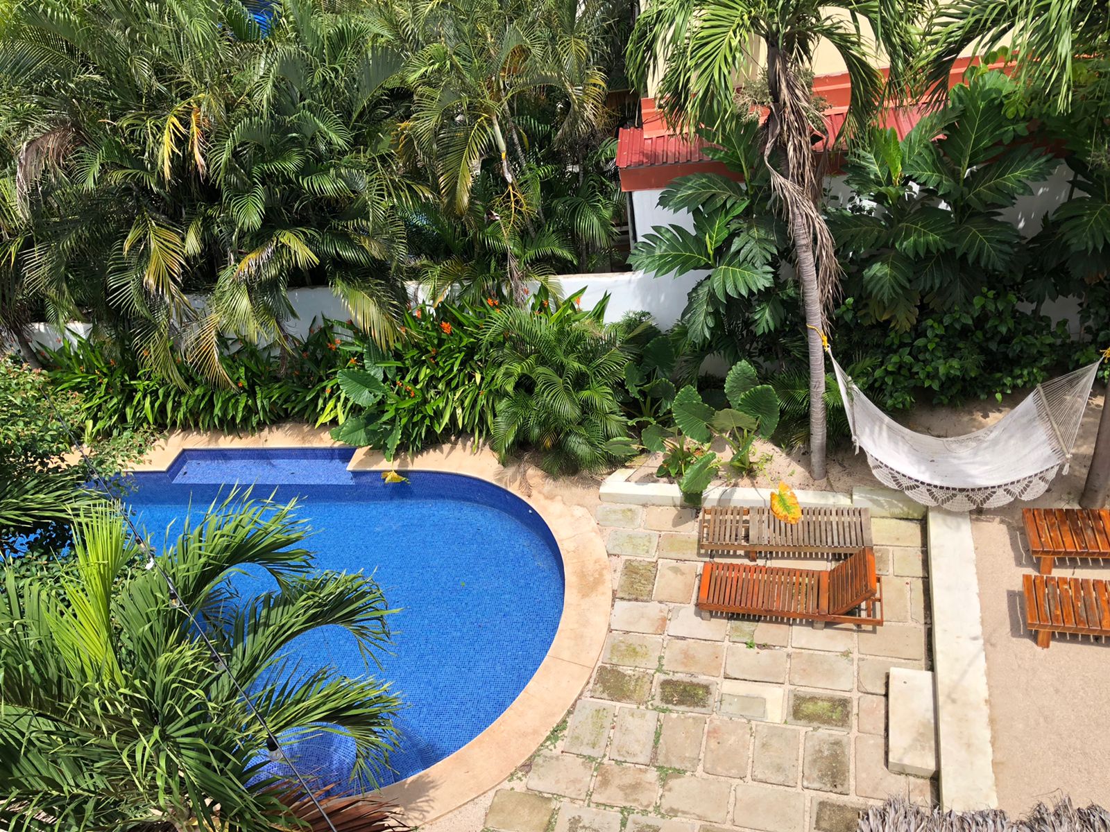 12 bed Hotel / Leisure For Sale in Tamarindo, Guanacaste - thumb 15