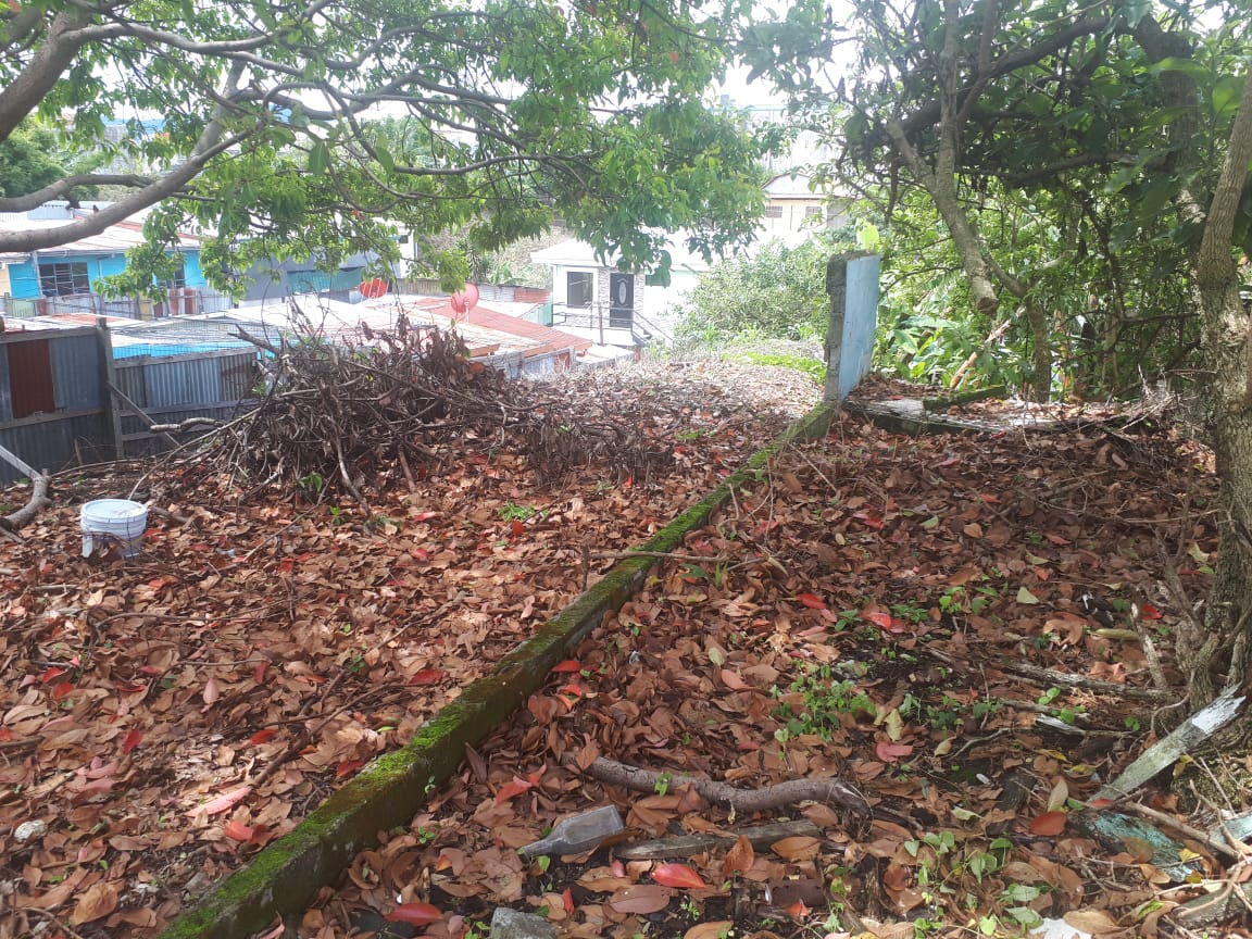 0 bed Land For Sale in Montes de Oca, San Jose - thumb 6