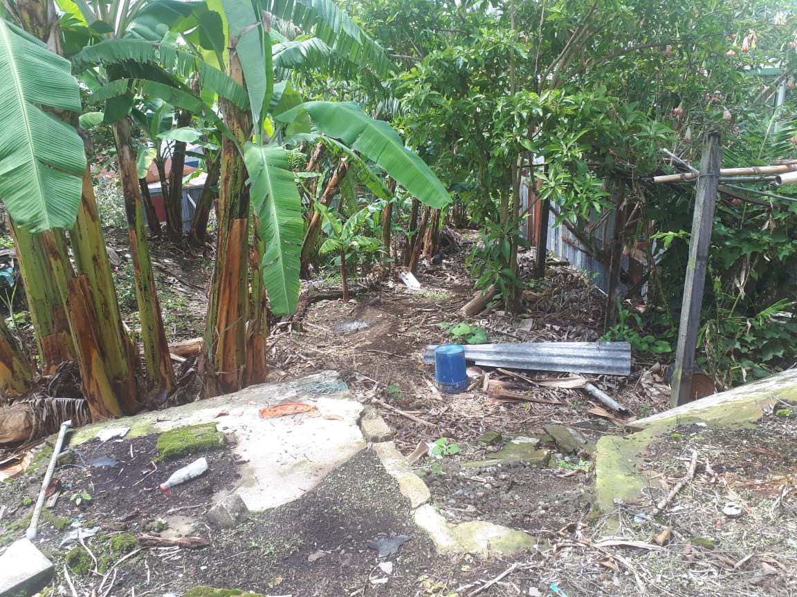 0 bed Land For Sale in Montes de Oca, San Jose - thumb 7