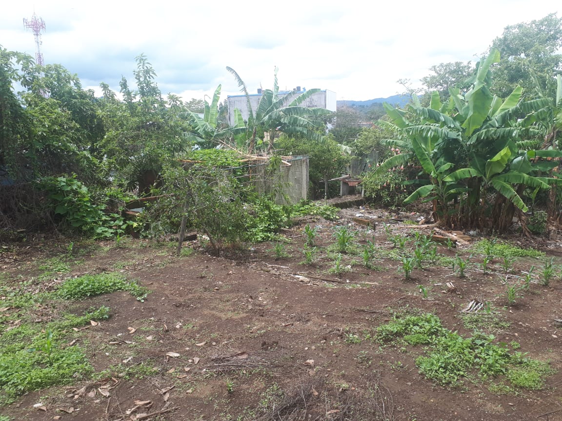 0 bed Land For Sale in Montes de Oca, San Jose - thumb 4